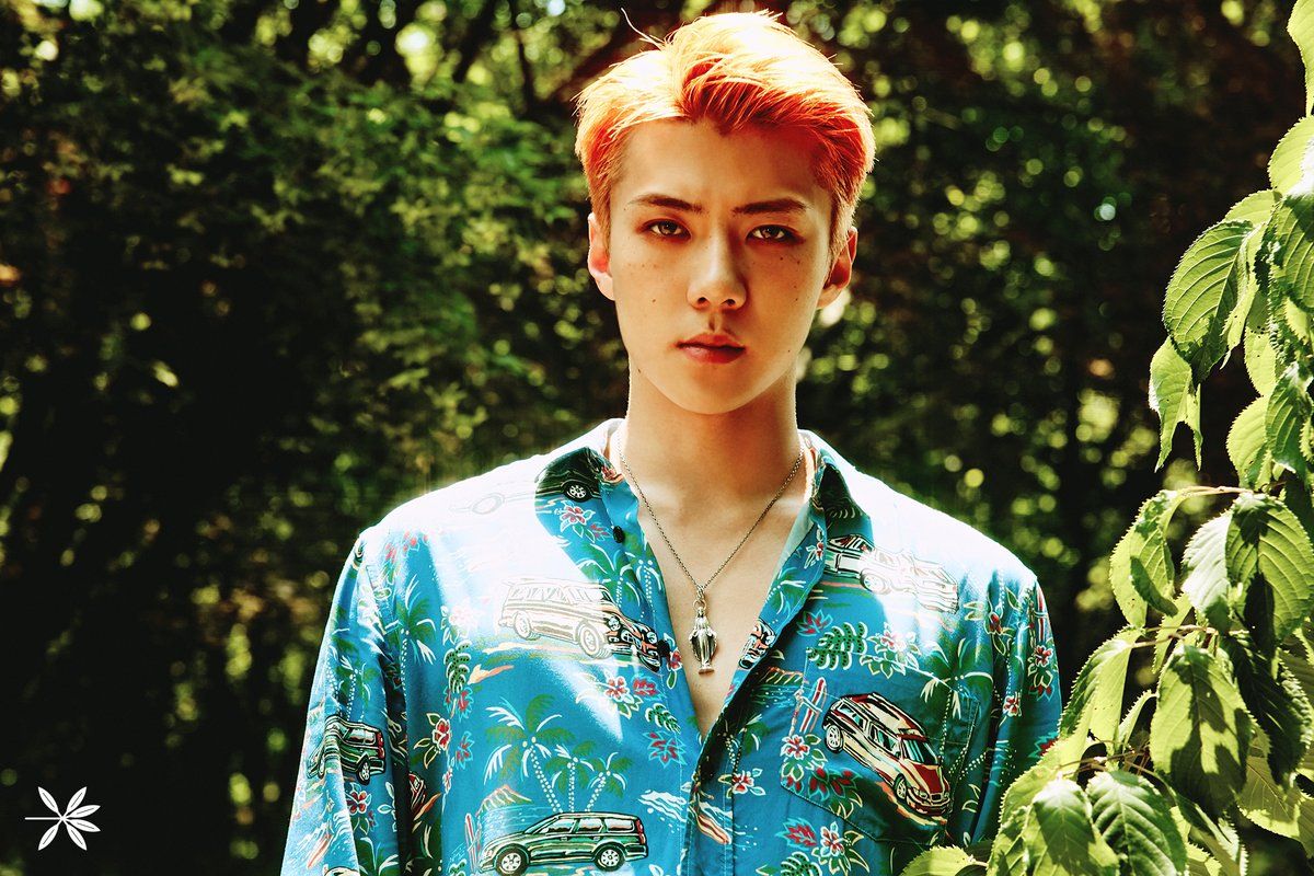 Sehun desktop wallpaper