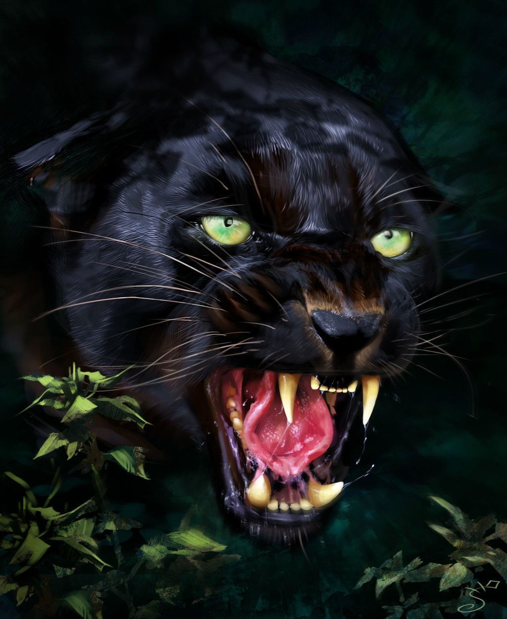 Black Wallpaper Jaguar Animal