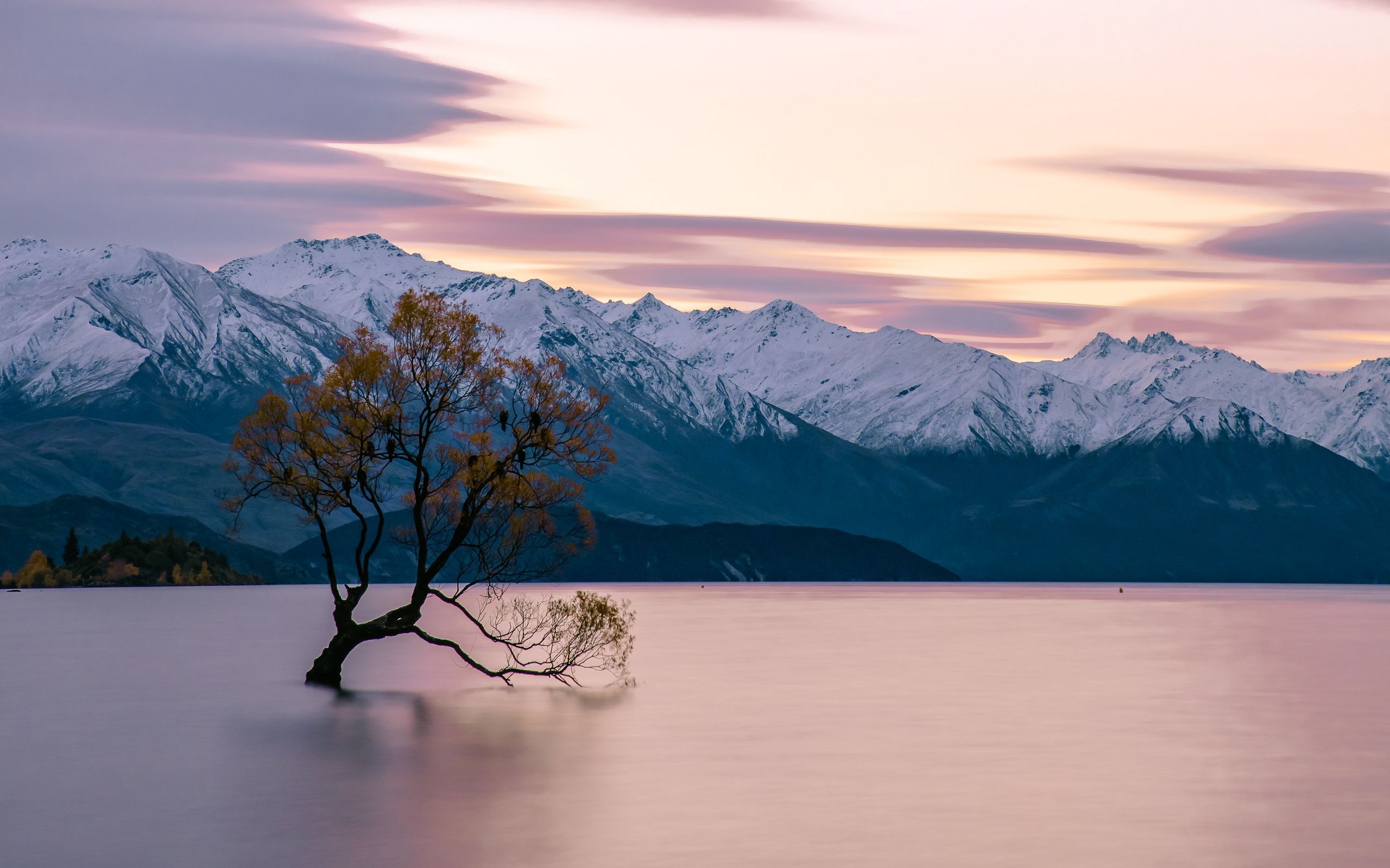 Download wallpaper 2560x1600 lake, mountains, tree, serenity
