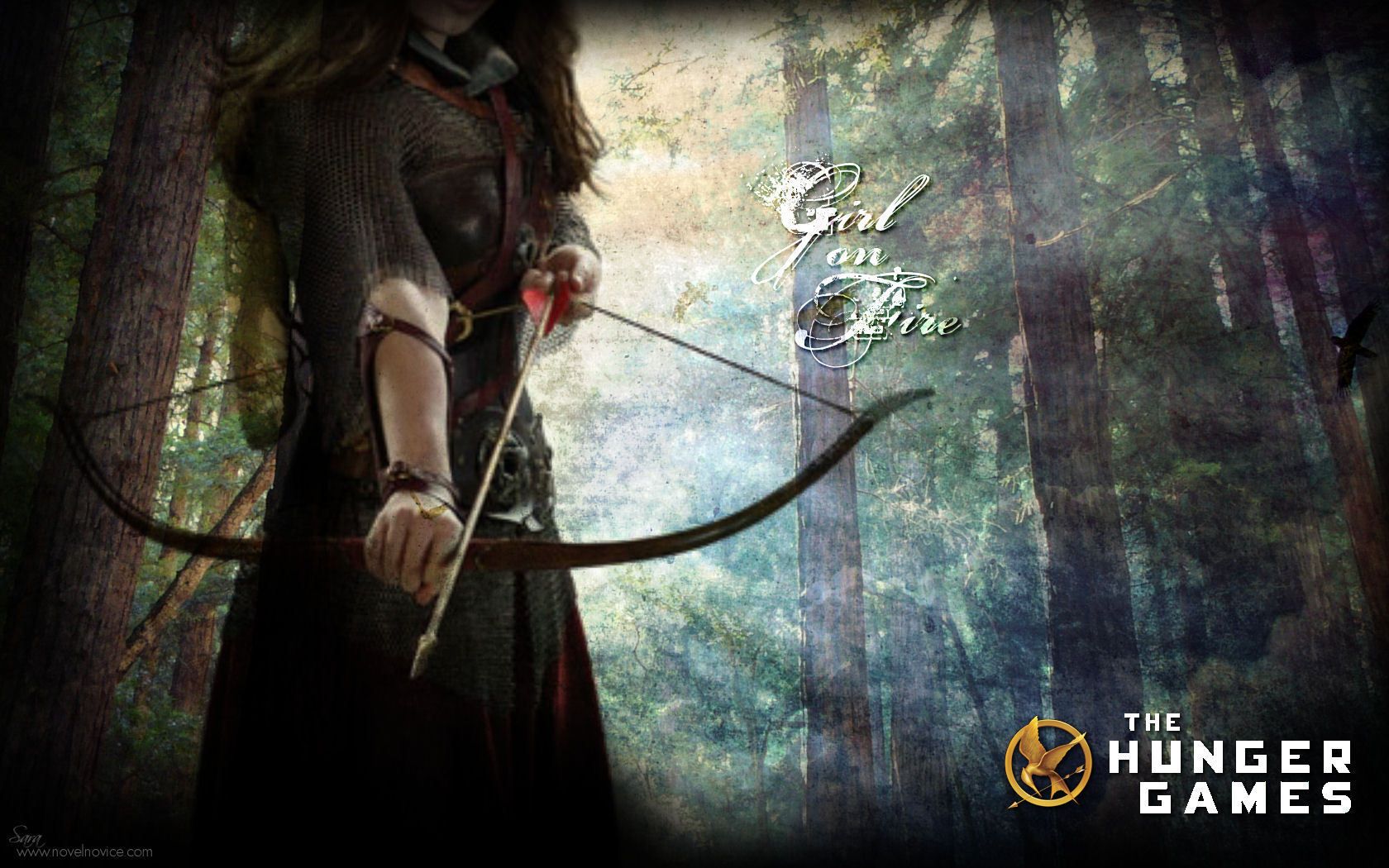Free download The Hunger Games Wallpaper The Hunger Games