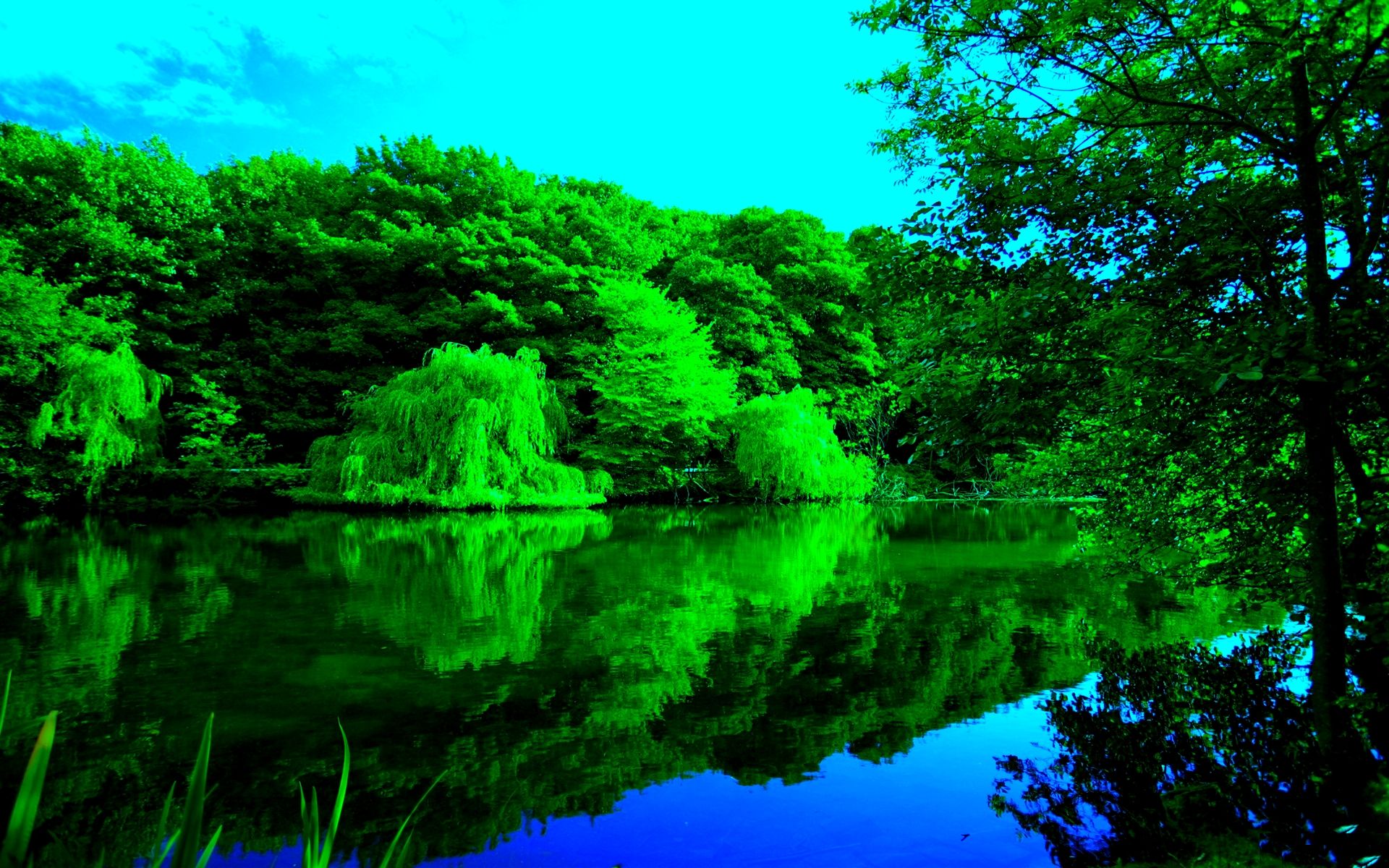 Forest River Wallpaper Photo #ysp