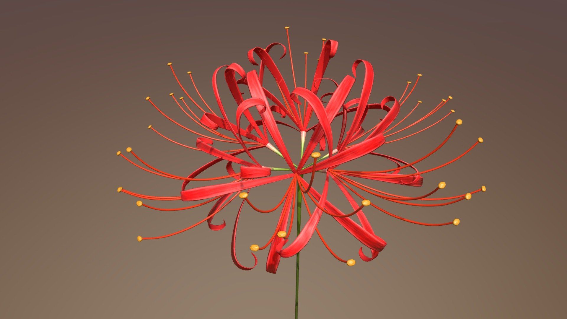 Higanbana (Red Spider Lily) model