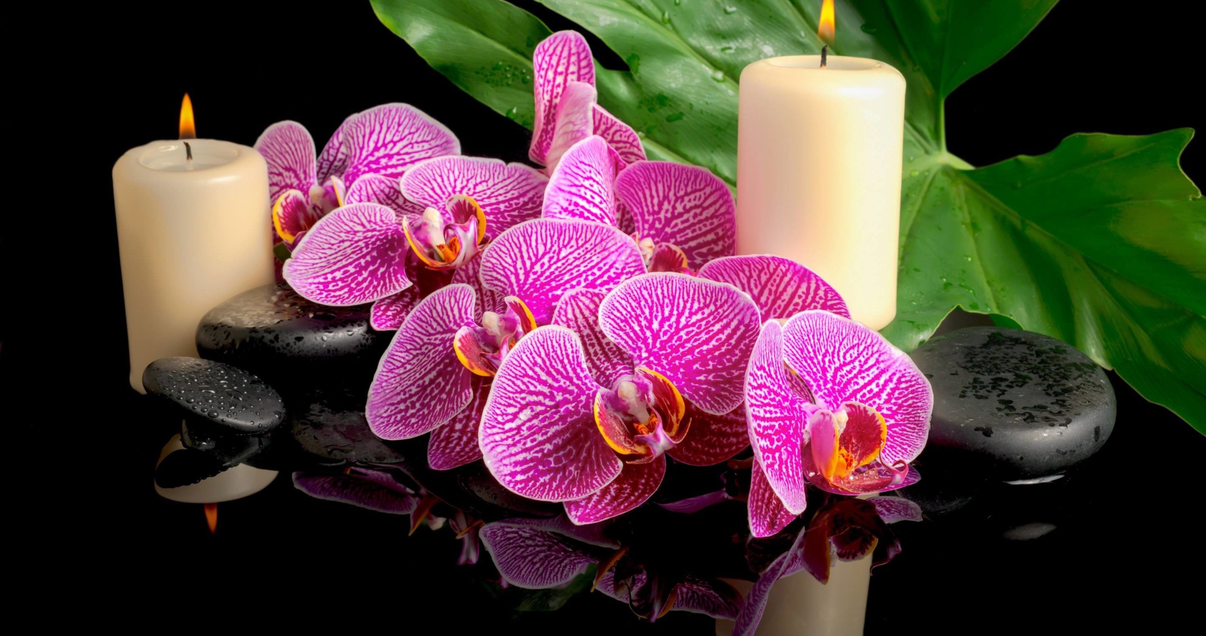spa candles and orchid 4k ultra HD wallpaper High quality walls