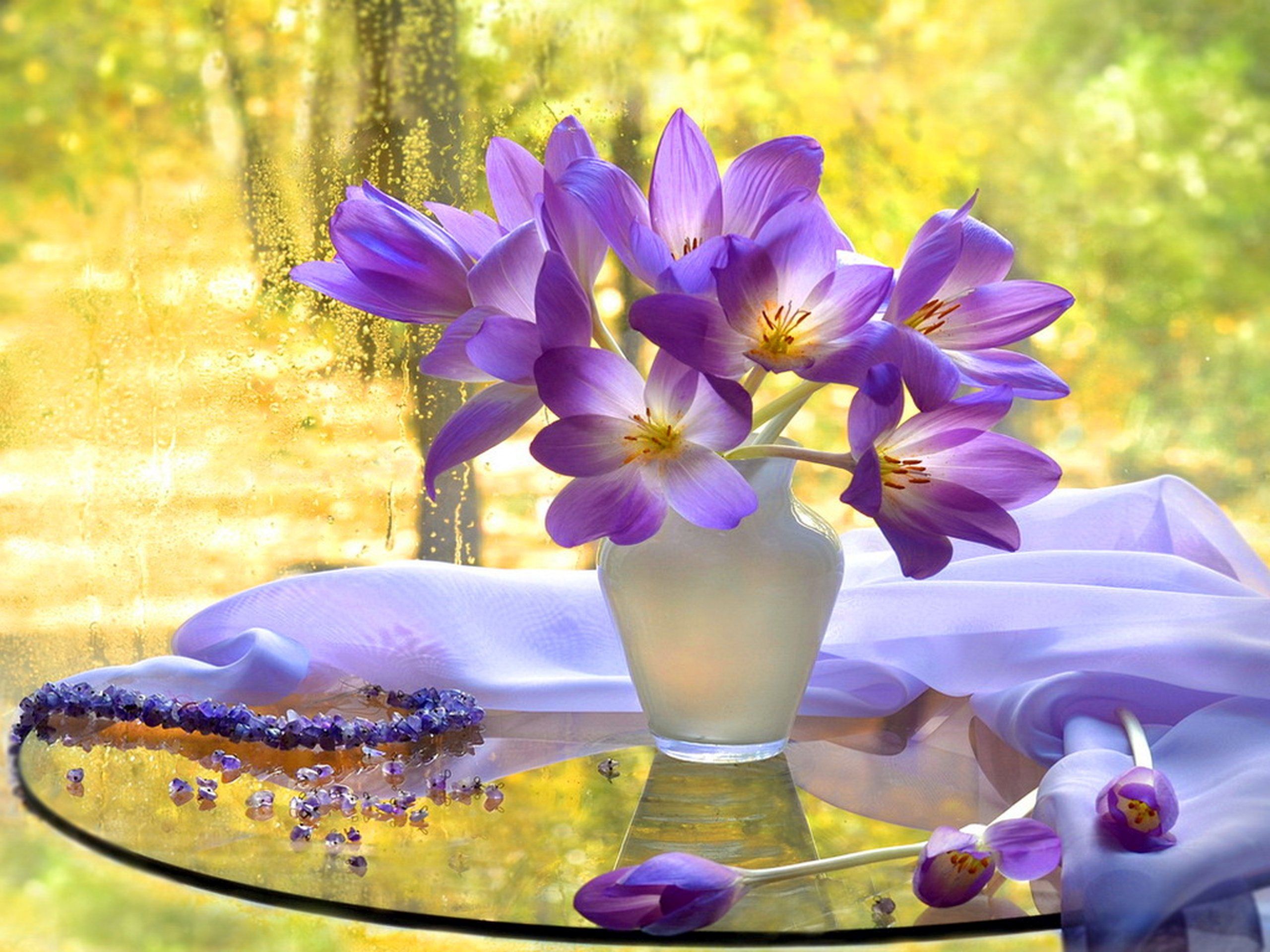beautiful, Flowers, Autumn, Tender, View, Delicate, Harmony, Vase, Nature, Bouquet, Still, Life, Window, Pretty Wallpaper HD / Desktop and Mobile Background