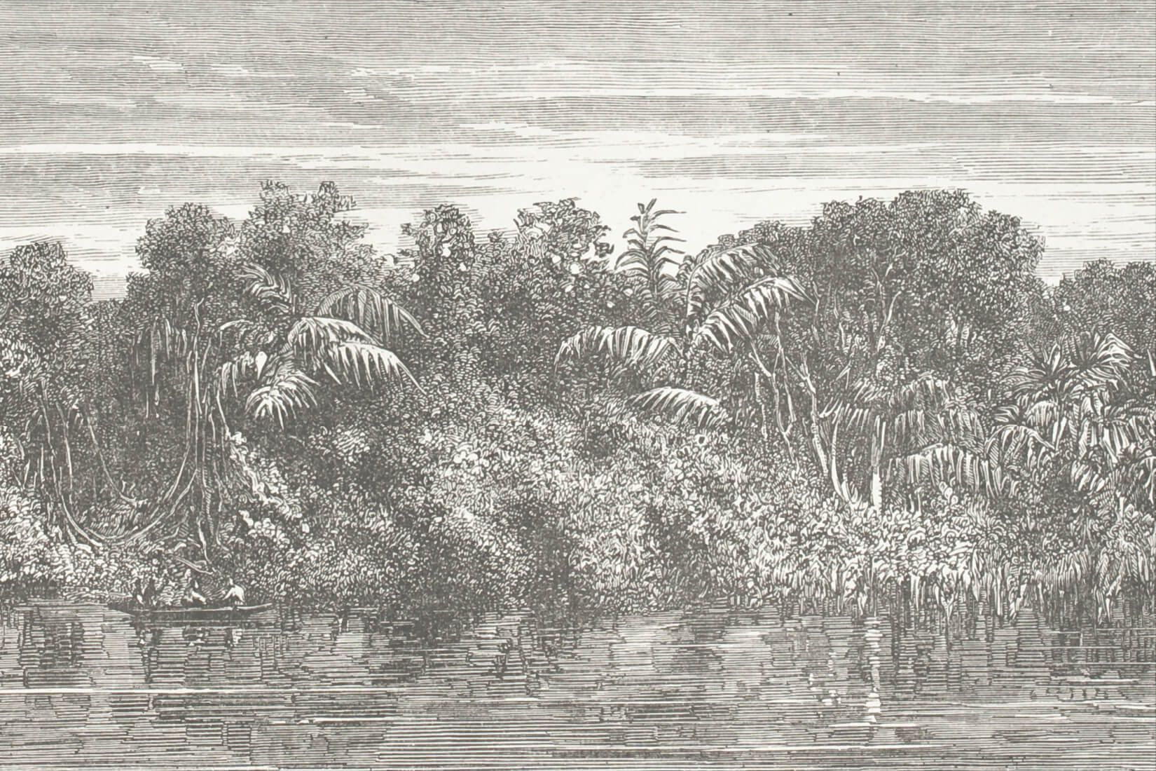 River's Edge Vintage Explorer Mural. Jungle wallpaper, Mural