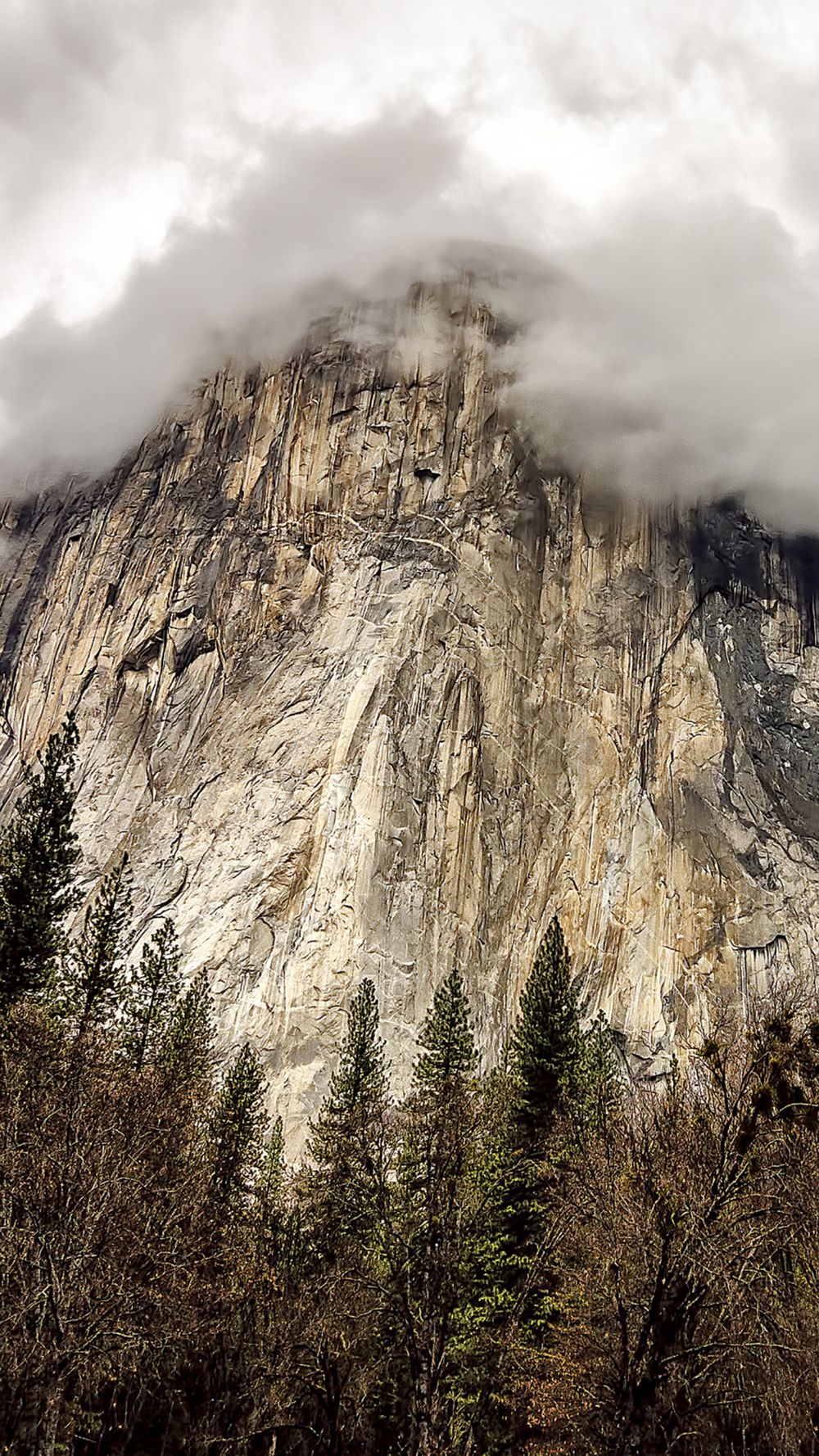 A Collection Of iPhone 6 And iPhone 6 Plus Background Wallpaper