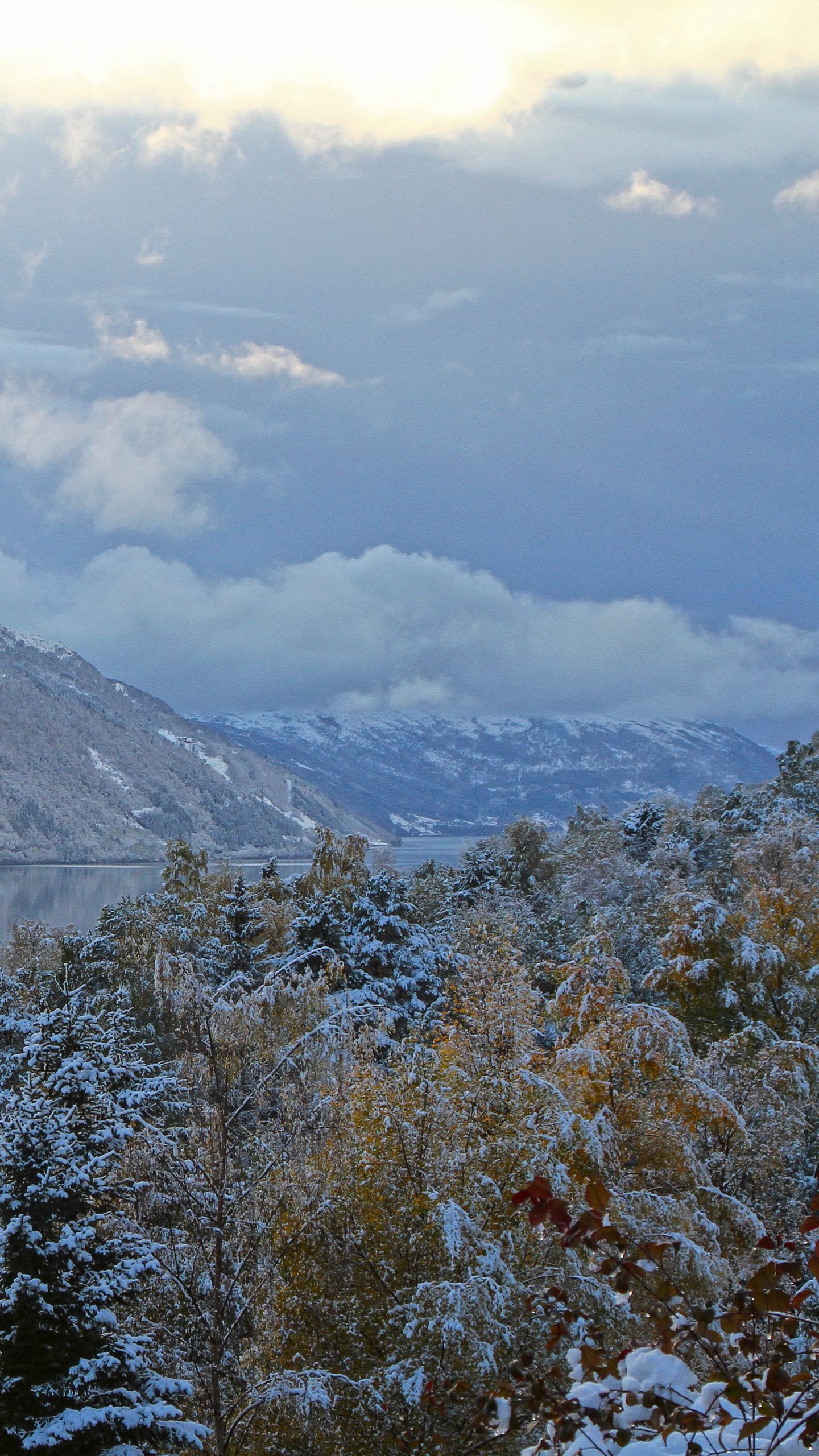 Download wallpaper 1440x2560 mountains, winter, trees, rivers