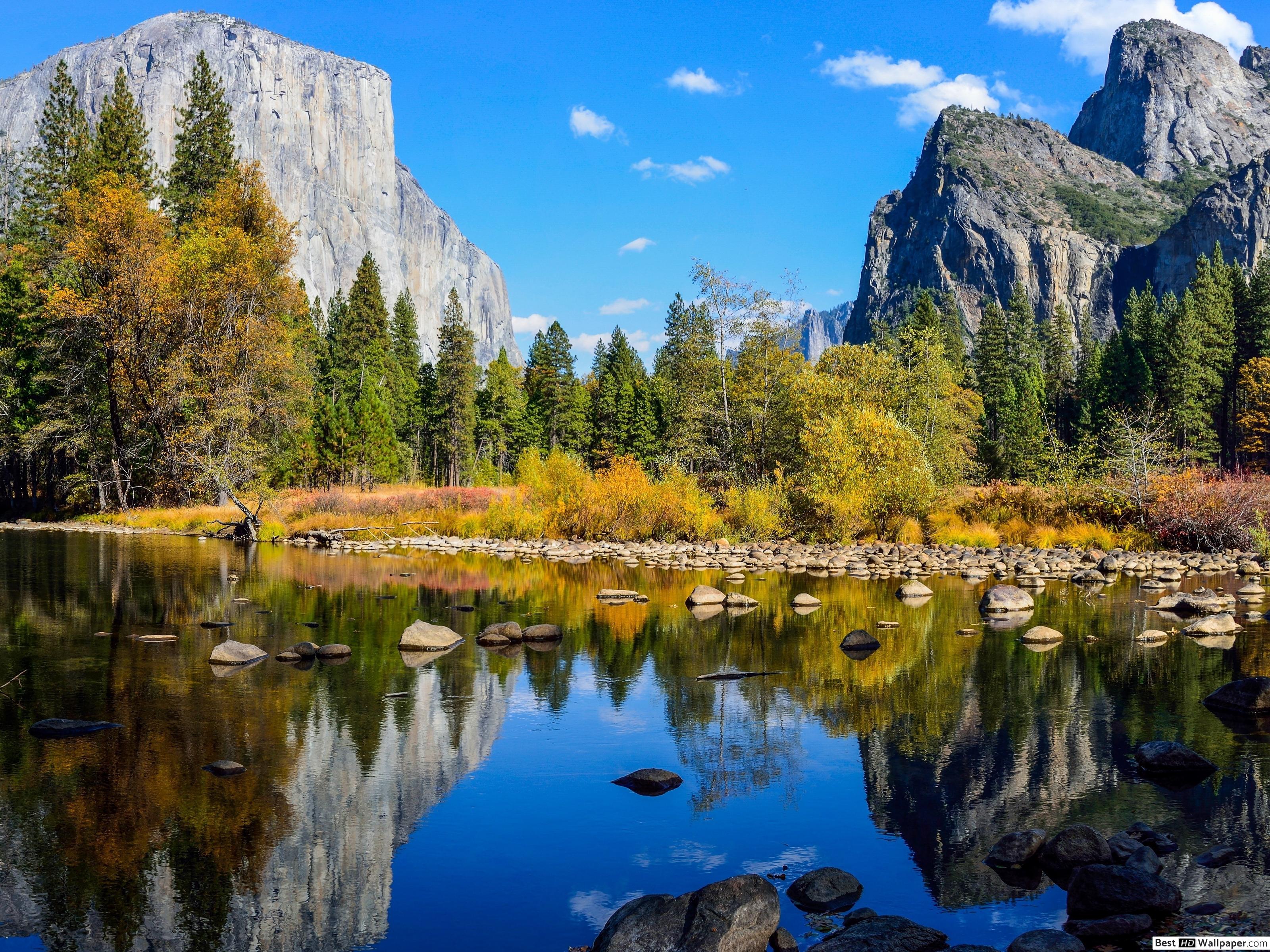 River edge nature scenic HD wallpaper download