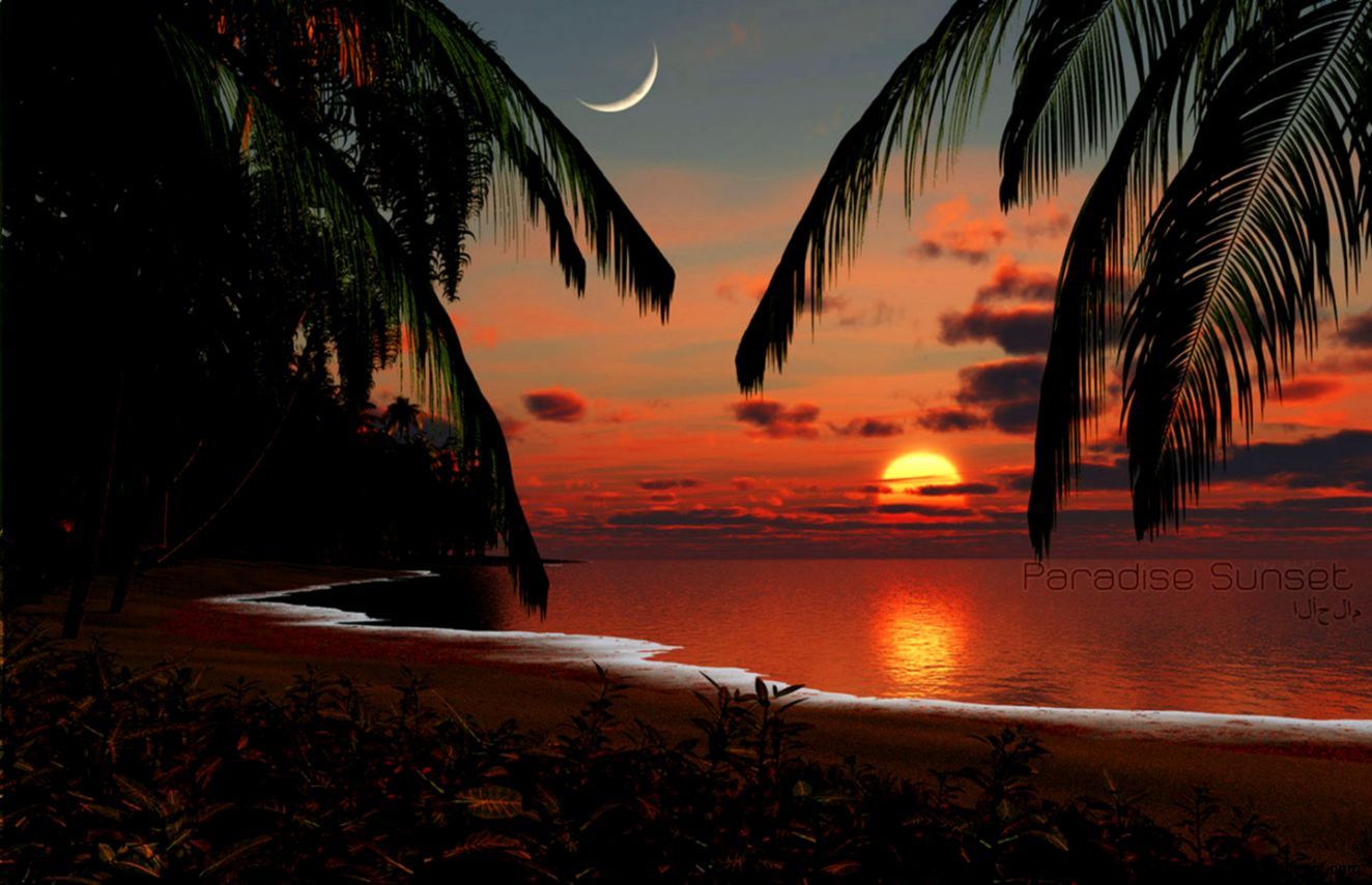 Tropical Paradise Sunset