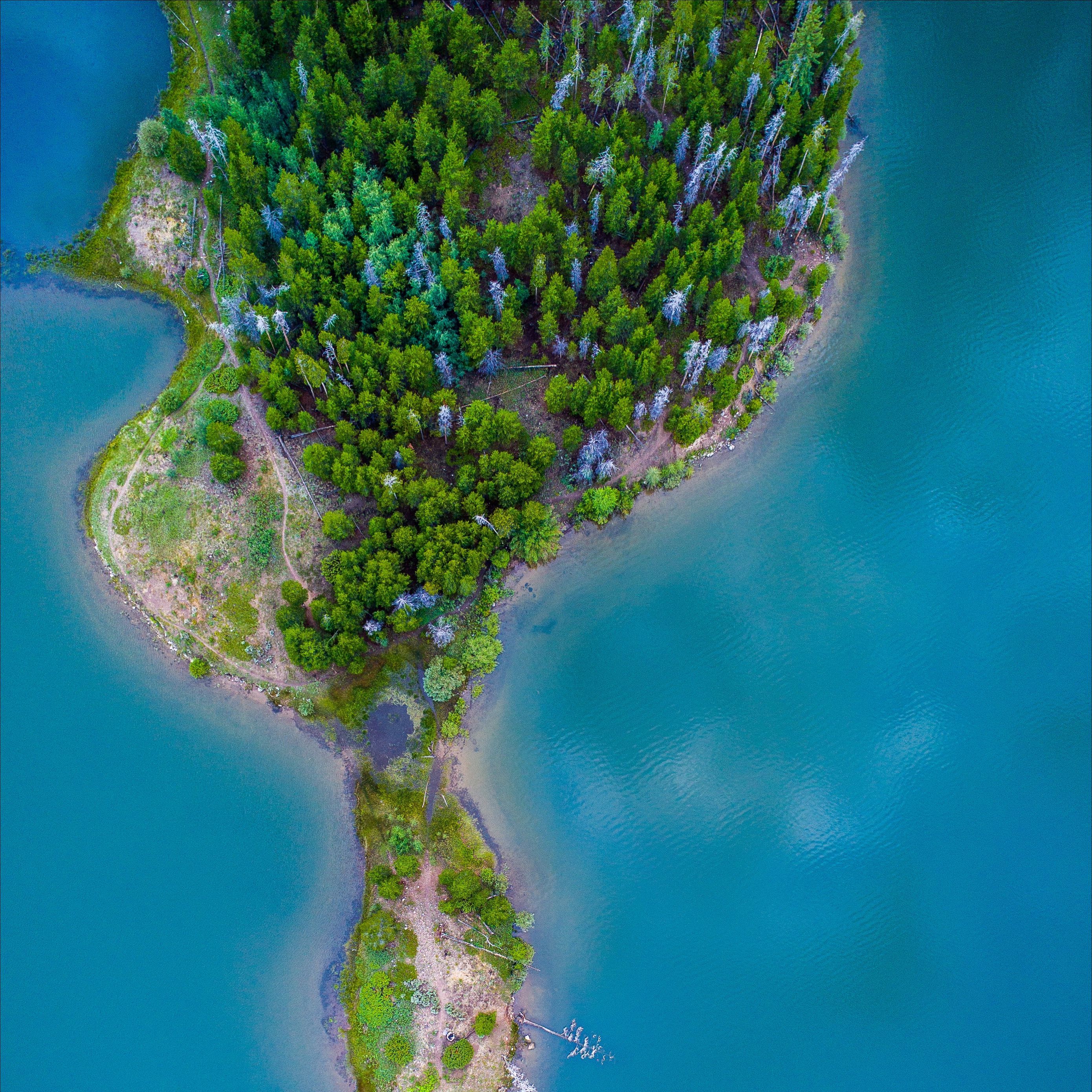 Download wallpaper 2780x2780 island, ocean, aerial view, paradise