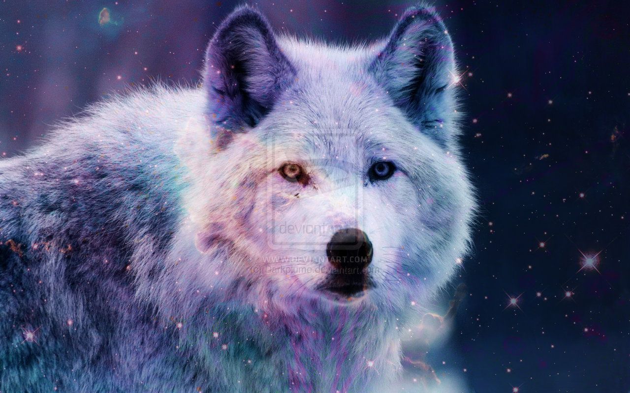 Free download galaxy wolf by Darkplume [1280x800] for your Desktop