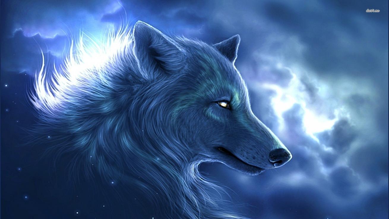 Free download share your wallpaper 13619 wolf 1920x1080 artistic
