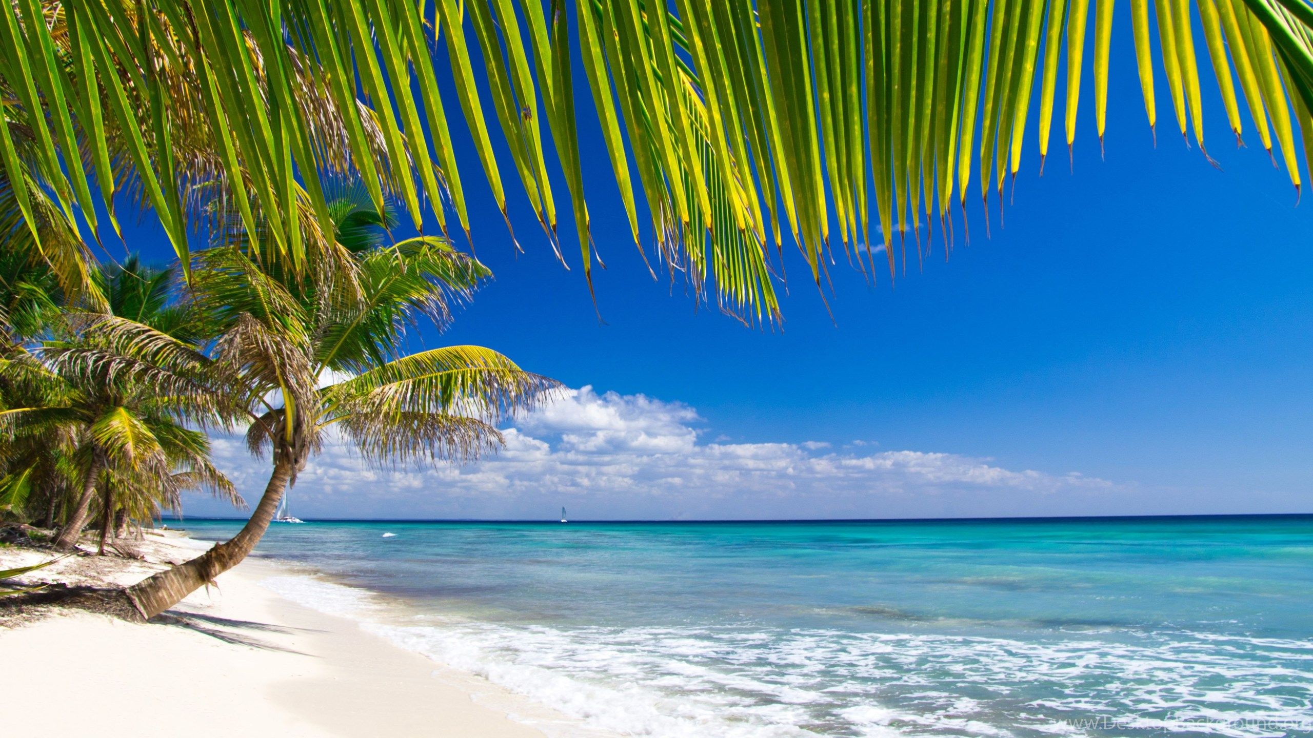 Caribbean Beach Awesome Wide Wallpapers Desktop Backgrounds