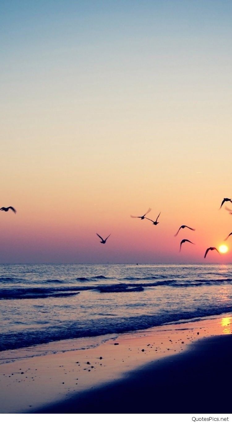 Beautiful Sunset Beach Wallpaper iPhone
