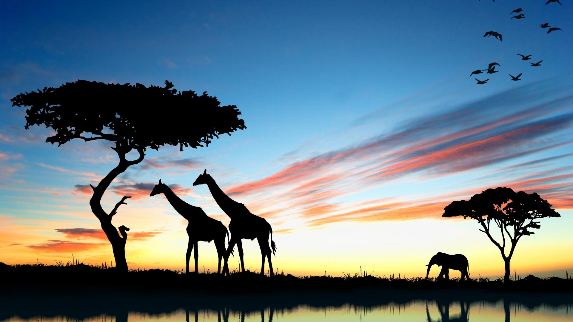 Sunset Safari Wallpapers - Wallpaper Cave