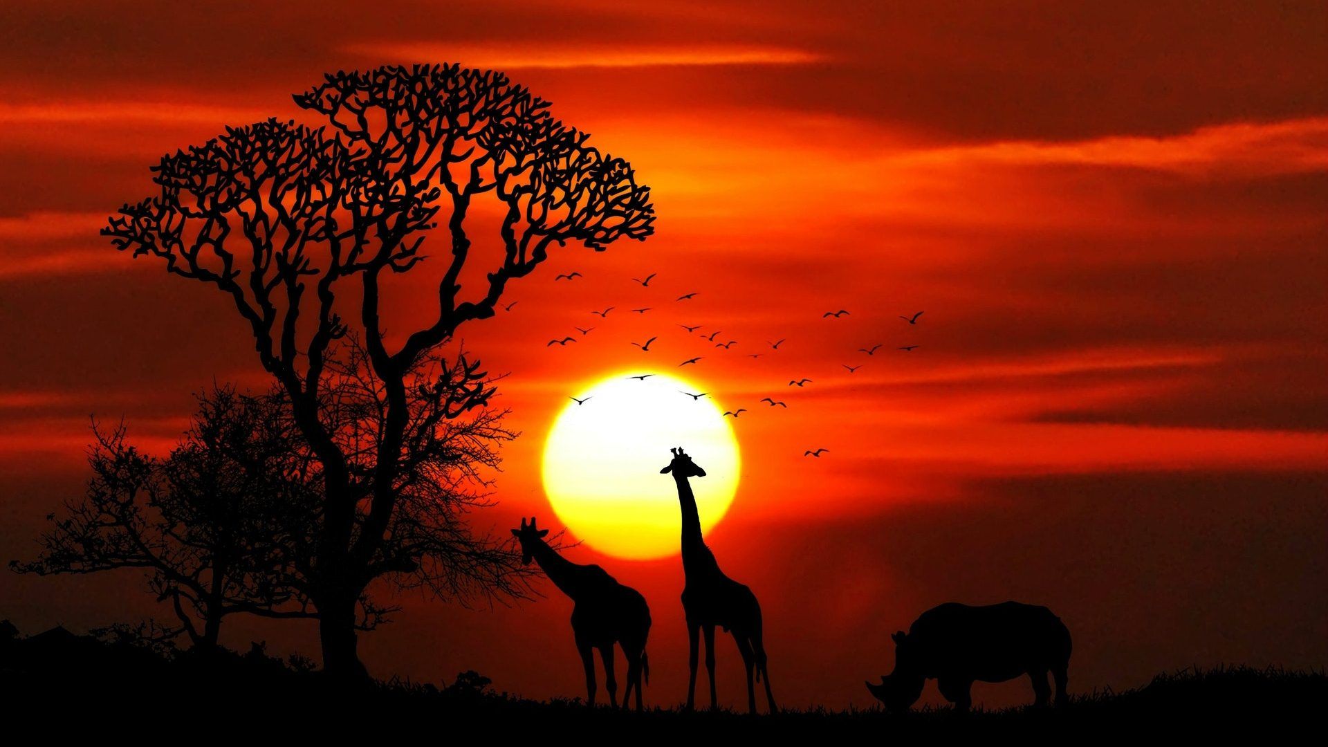 Free download Natural Sunset HD Wallpaper 1080p Wallpaperpit