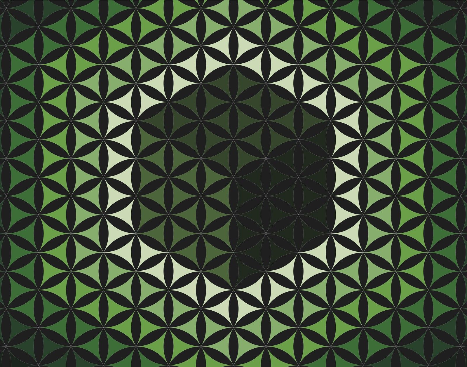 Sacred Geometry Flower Of Life Background Vector