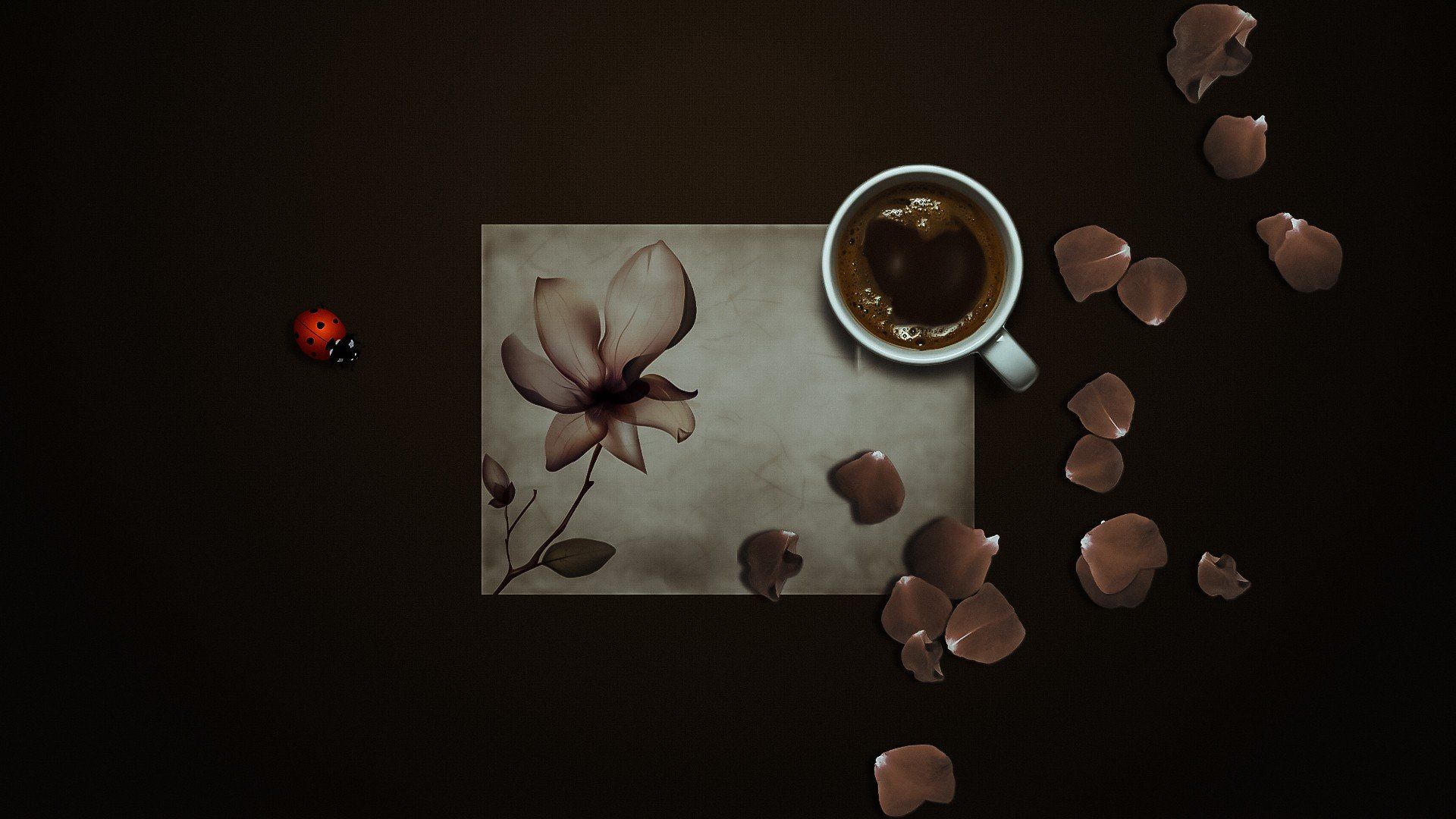 Coffee Anime Wallpapers Wallpaper Cave