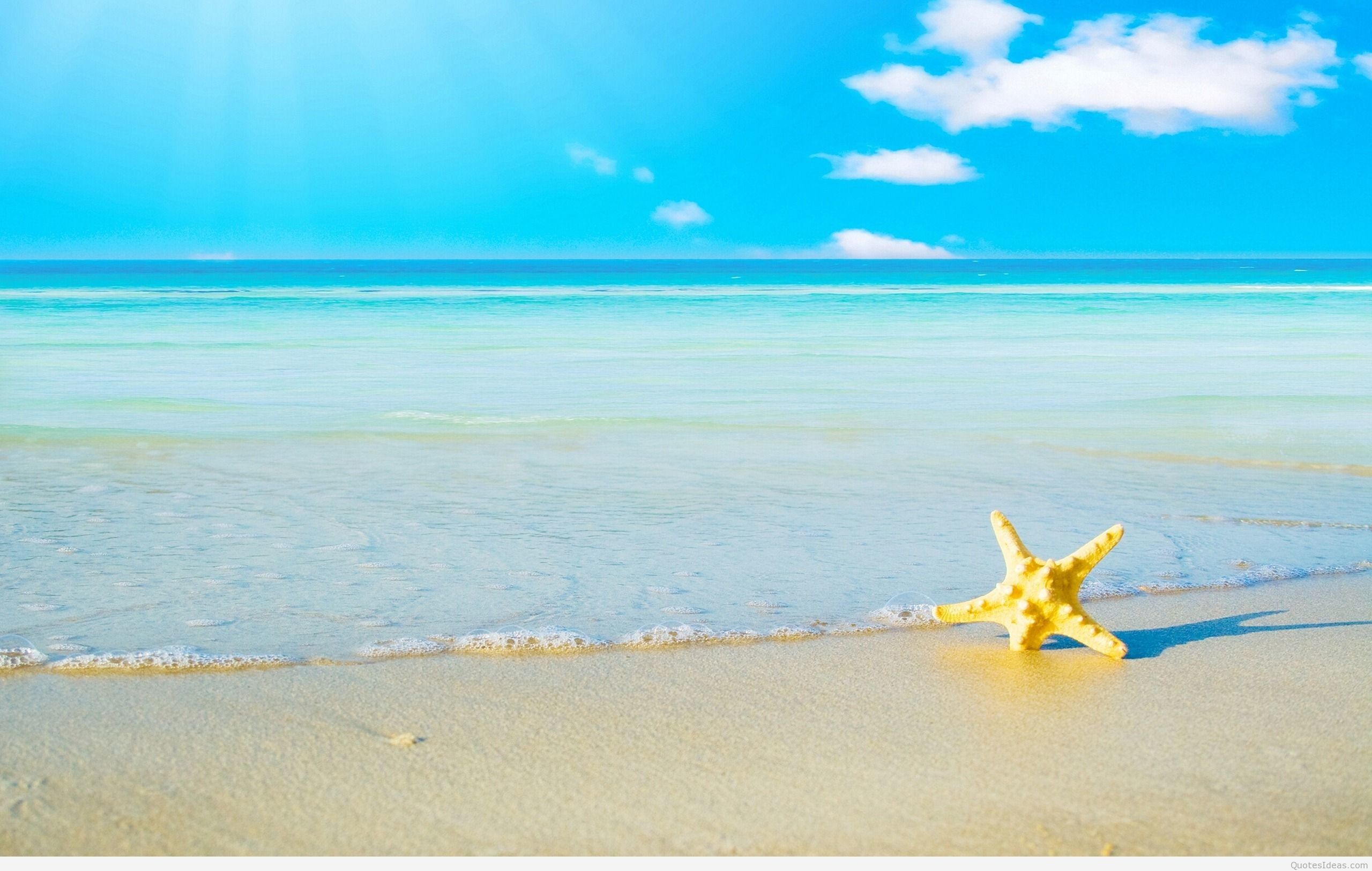 Summer Background Pics