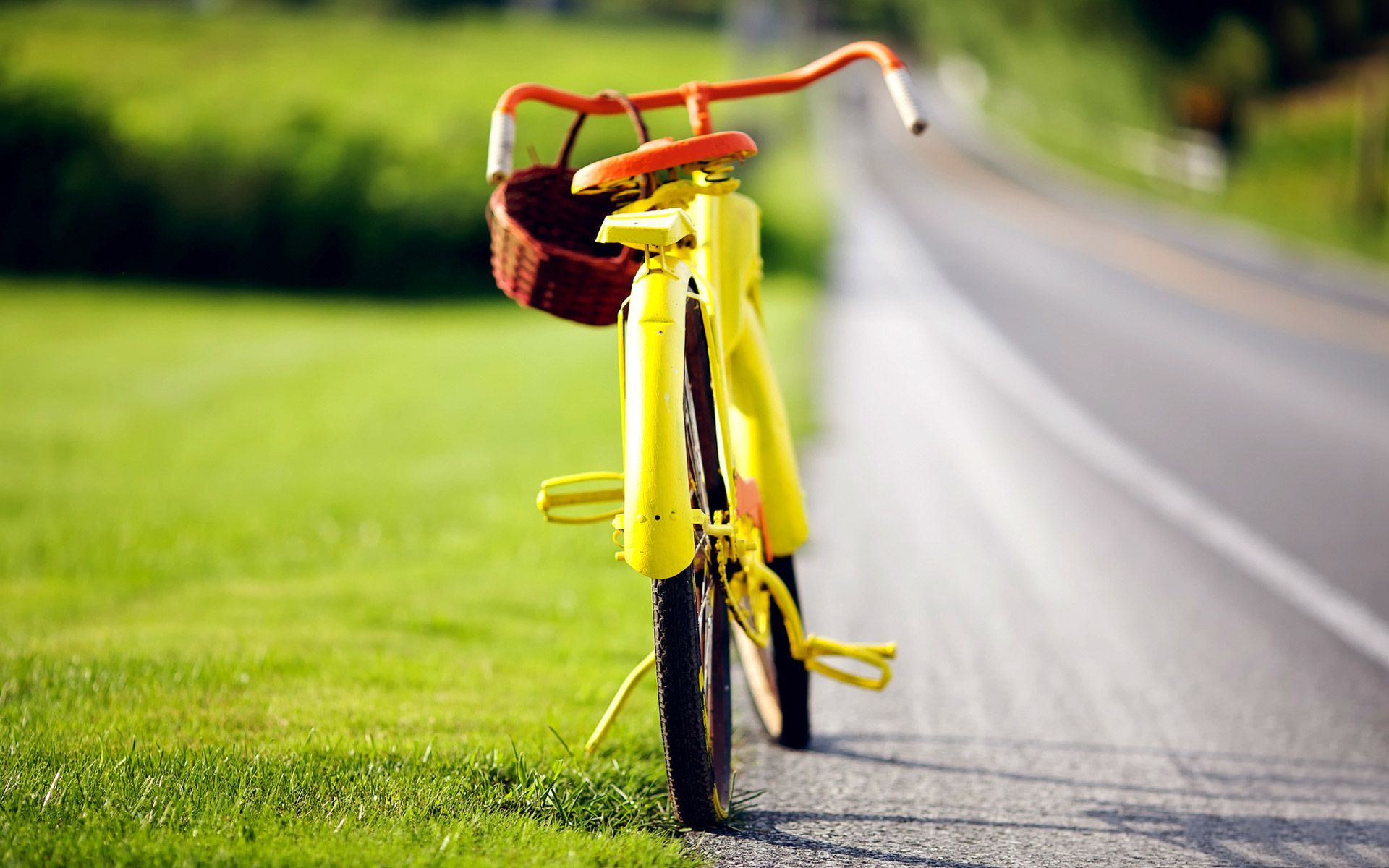 Beautiful Yellow Bicycle. Bicycle, Bicycle picture