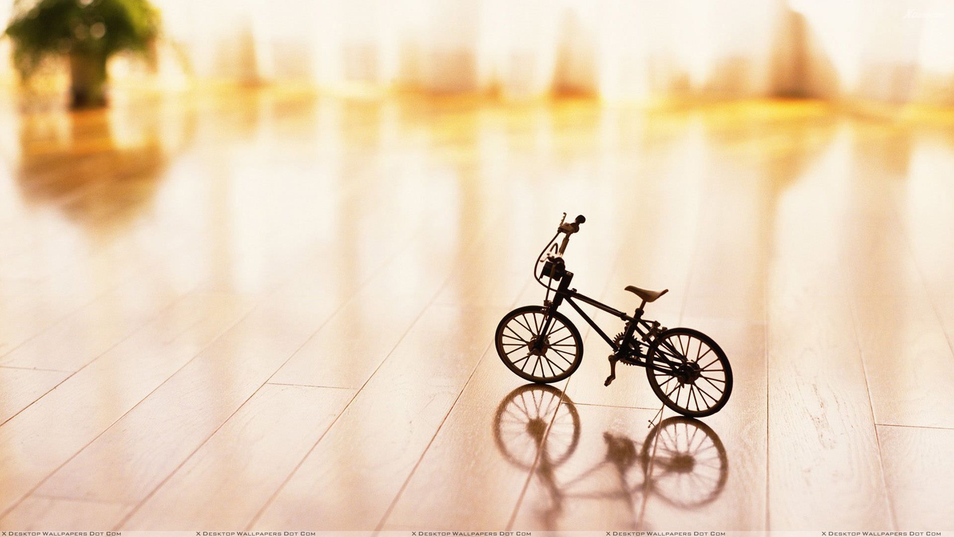 Fantastic Cycle Picture HD Wallpaper Pack v.68