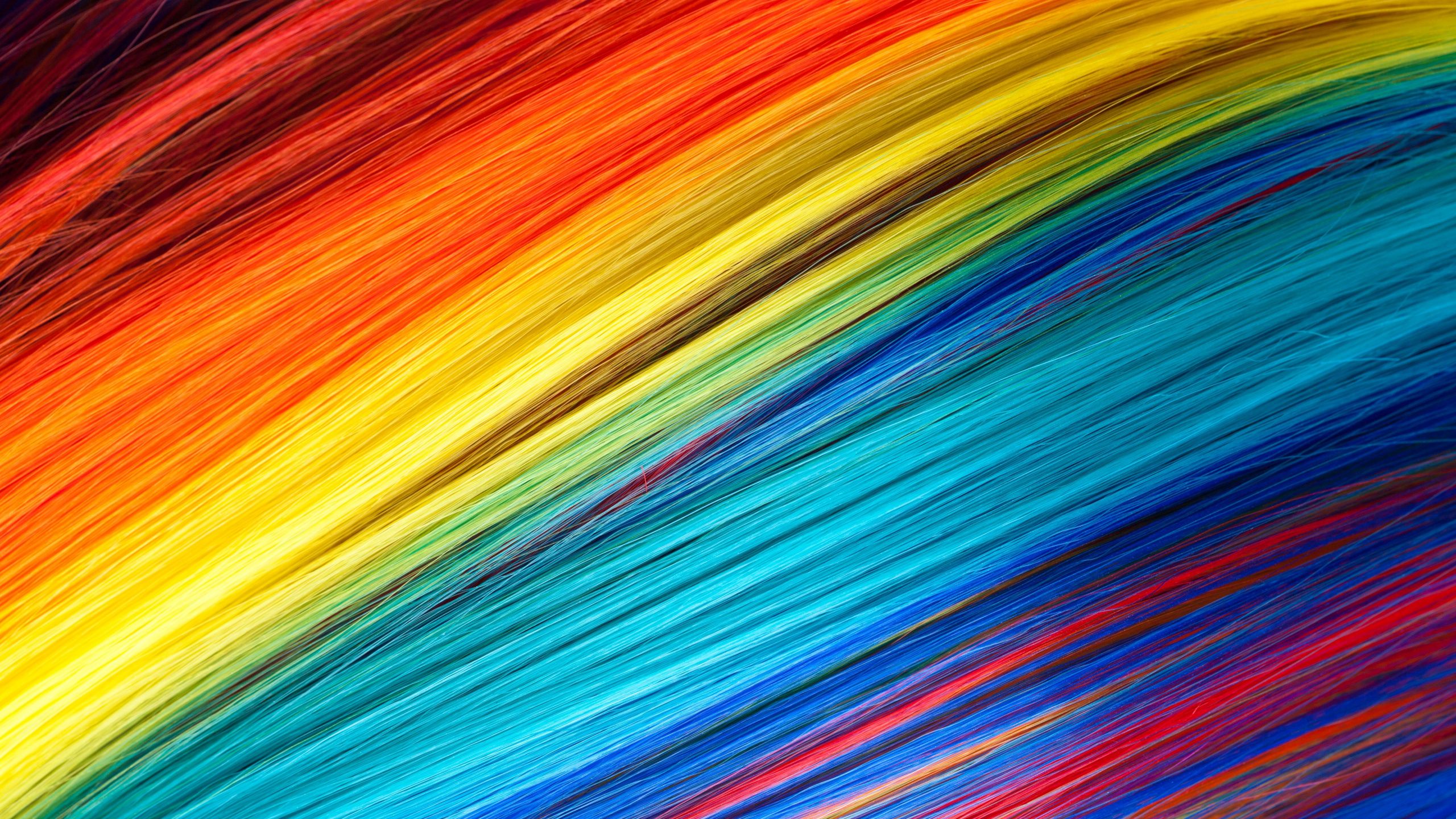 Download Colorful Threads, Abstraction, Multi Color Wallpaper