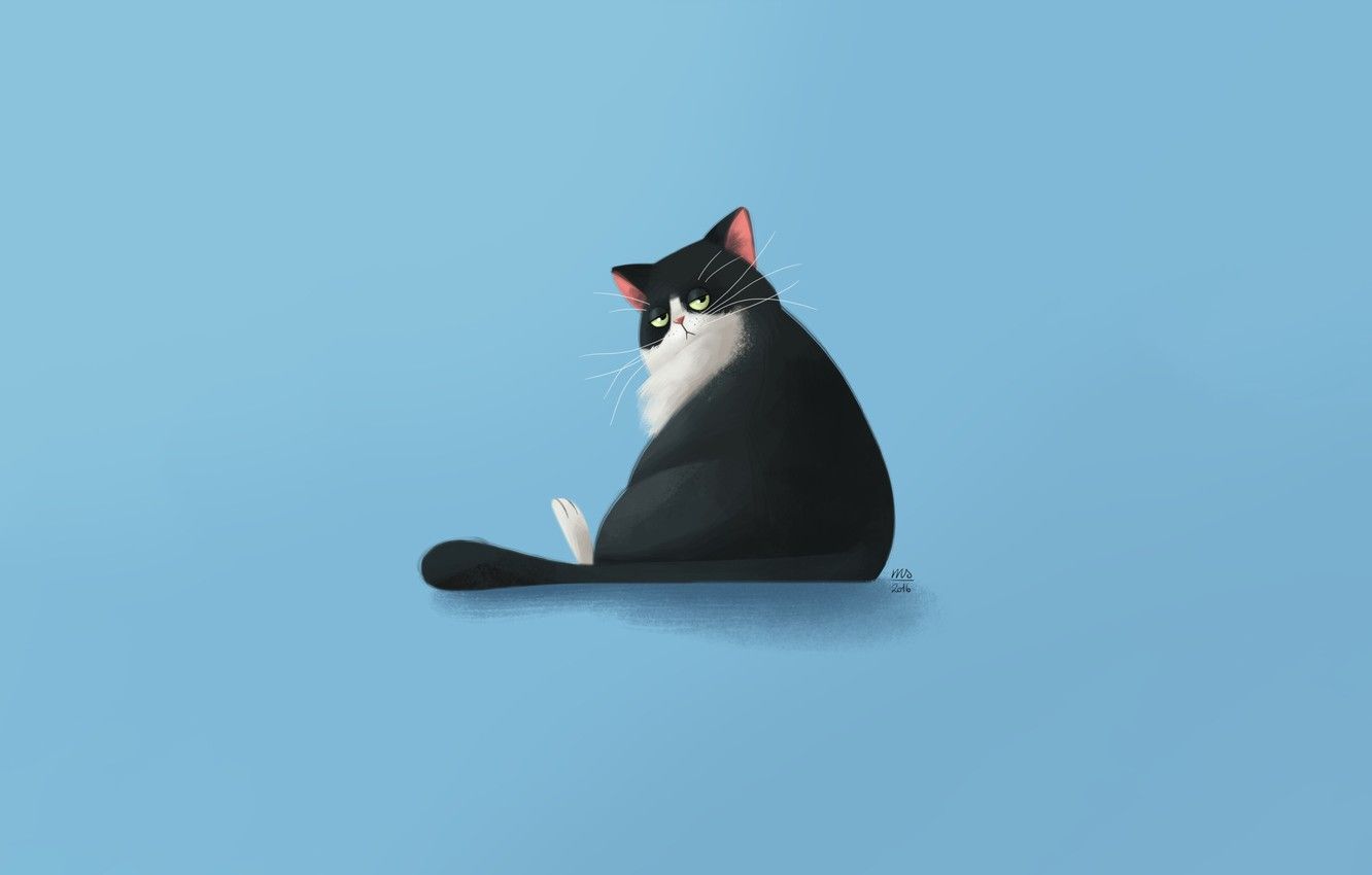 cat pictures for desktop