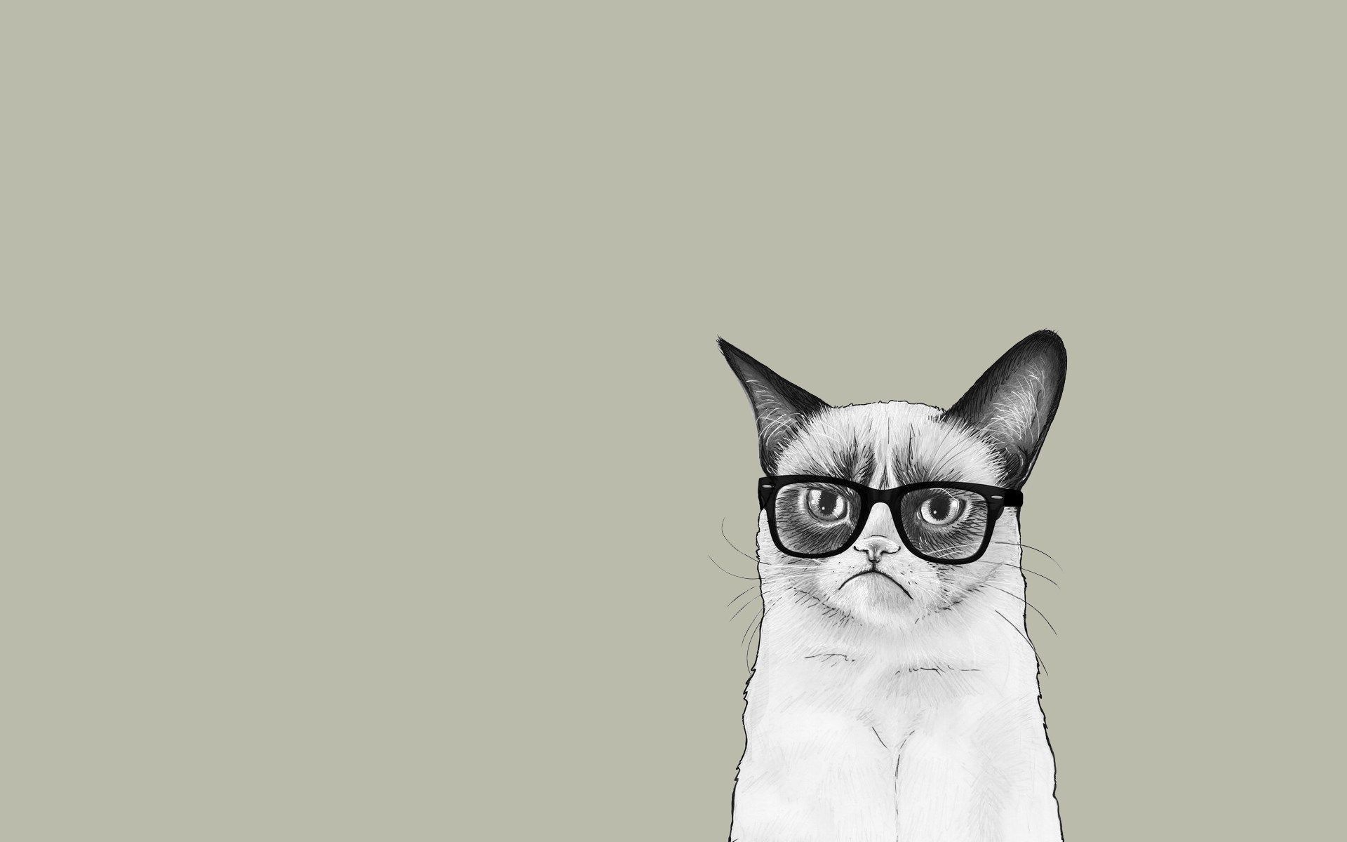 art cat monotype glasses discomfort minimalist wallpaper drawing
