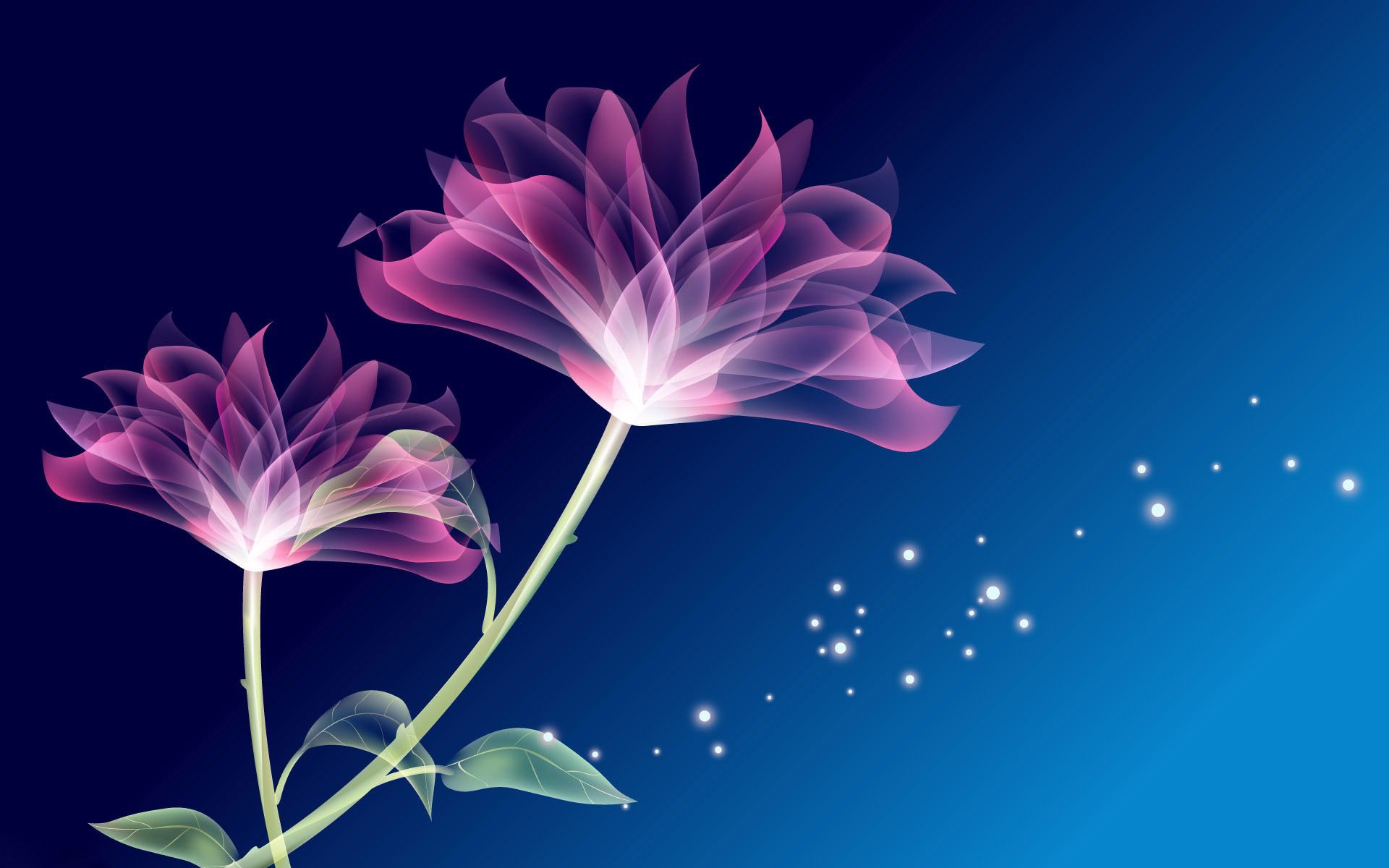 Free download Glowing flowers wallpaper Wallpaper Wide HD