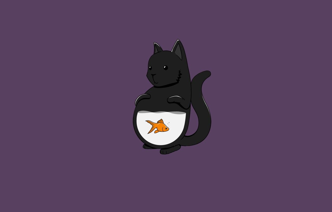 Wallpaper cat, cat, minimalism, fish, cat, fish image for desktop