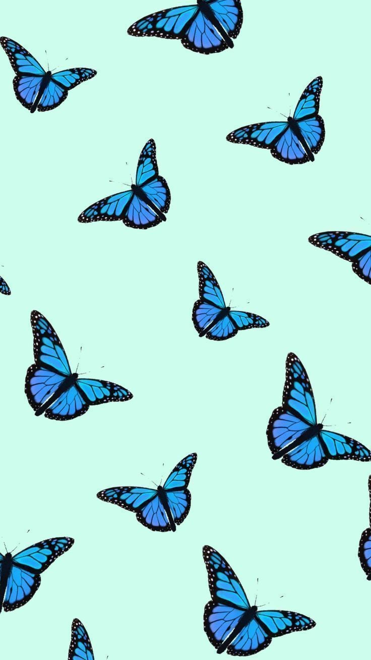 Aesthetic Wallpaper Blue Butterfly Black Background We Hope You Enjoy Our Growing Collection Of Hd