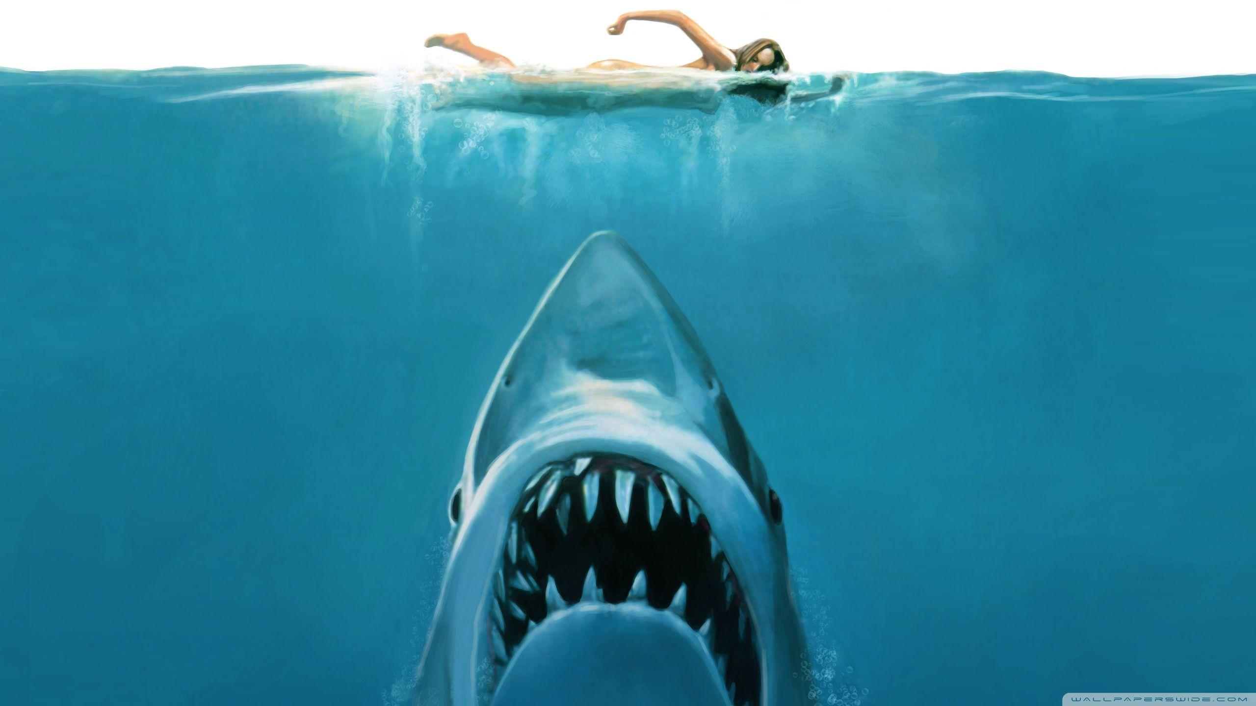 The 13 Most Awesome Wallpaper For People Who Love Shark