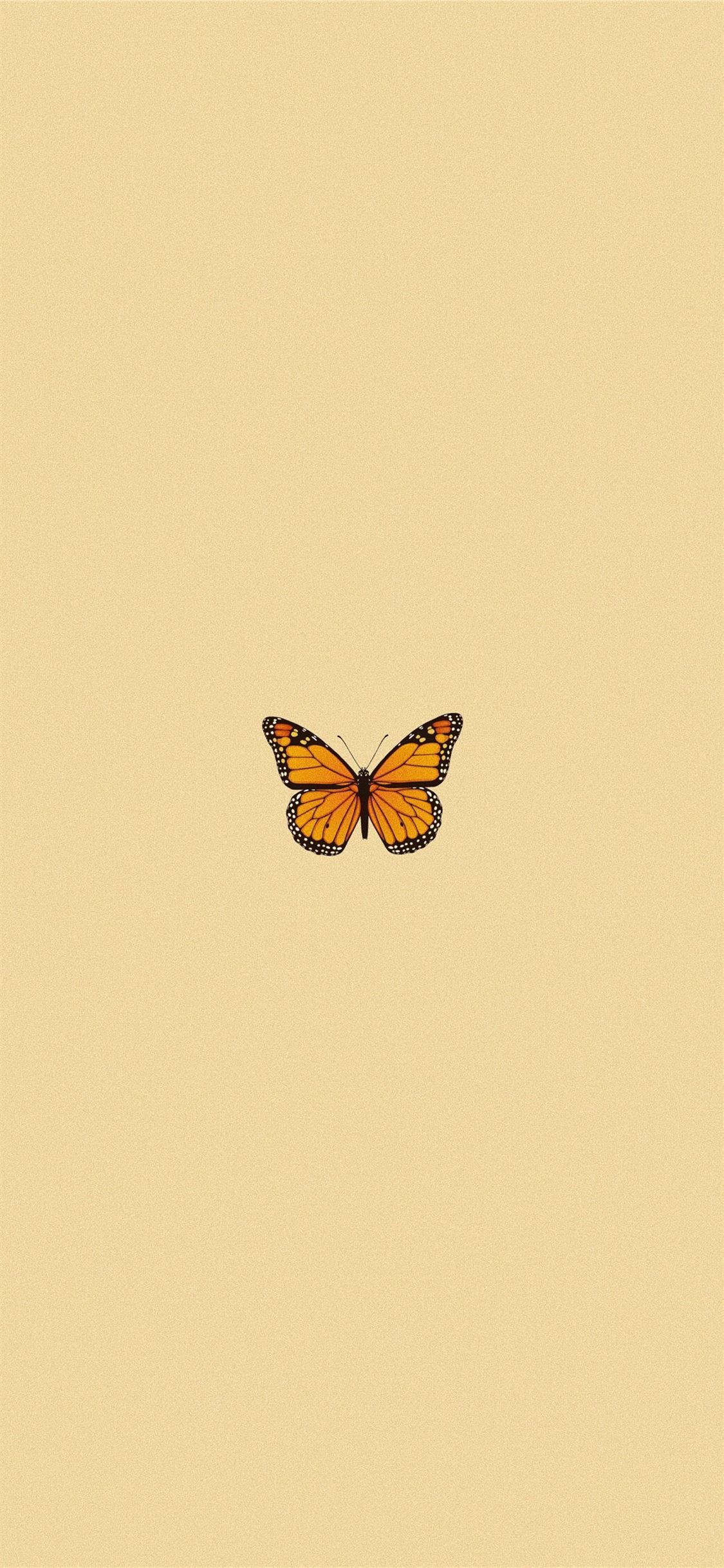 Butterfly Aesthetics Wallpapers - Wallpaper Cave