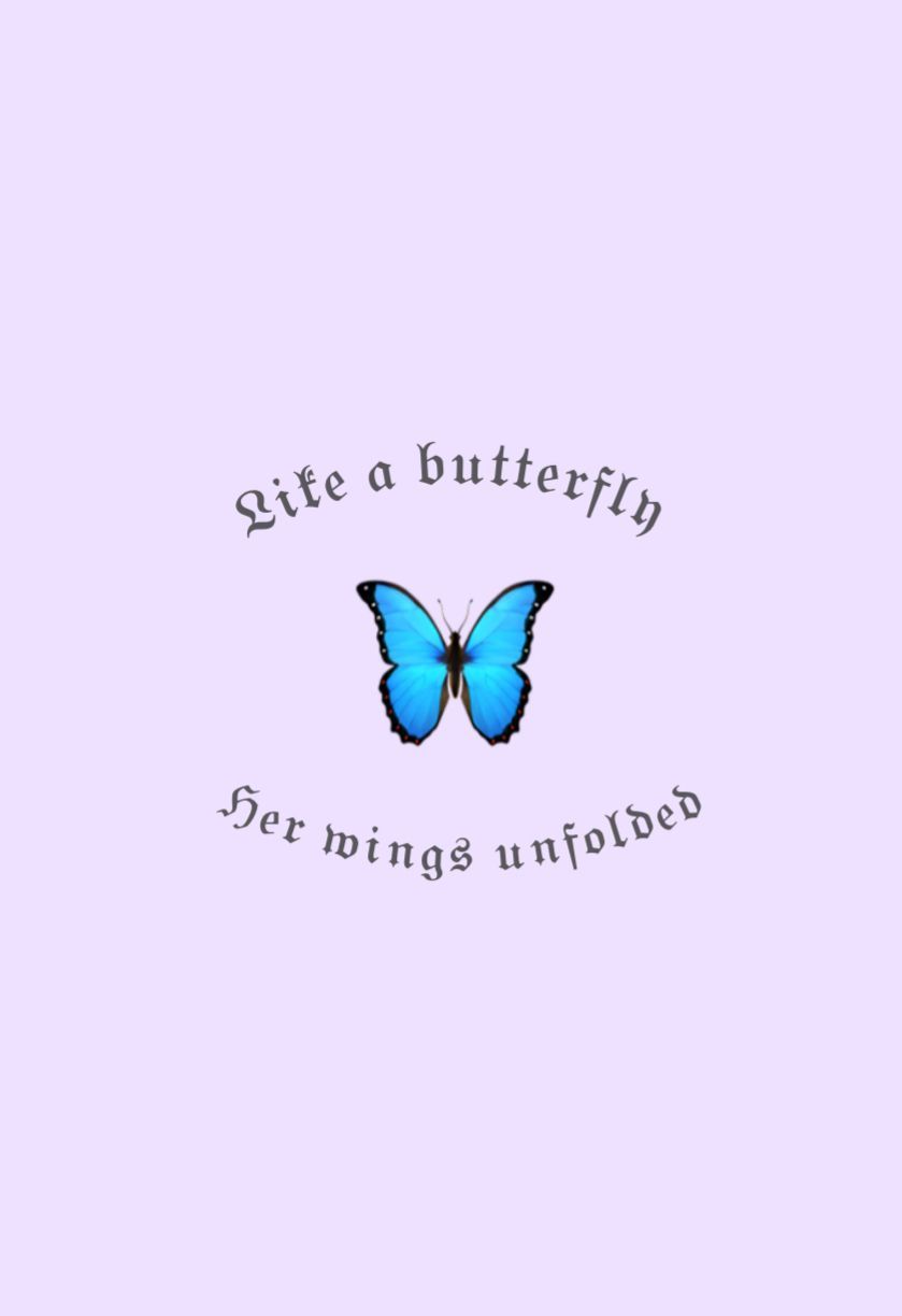 Aesthetic wallpaper #aesthetic #aestheticwallpaers #butterfly #butterflyquotes #qu. Butterfly wallpaper iphone, Aesthetic iphone wallpaper, Blue wallpaper iphone
