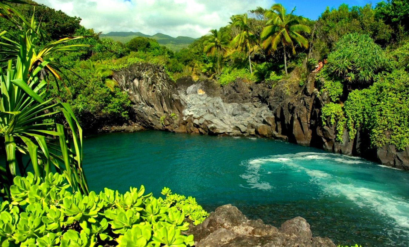 Nature Computer Wallpaper