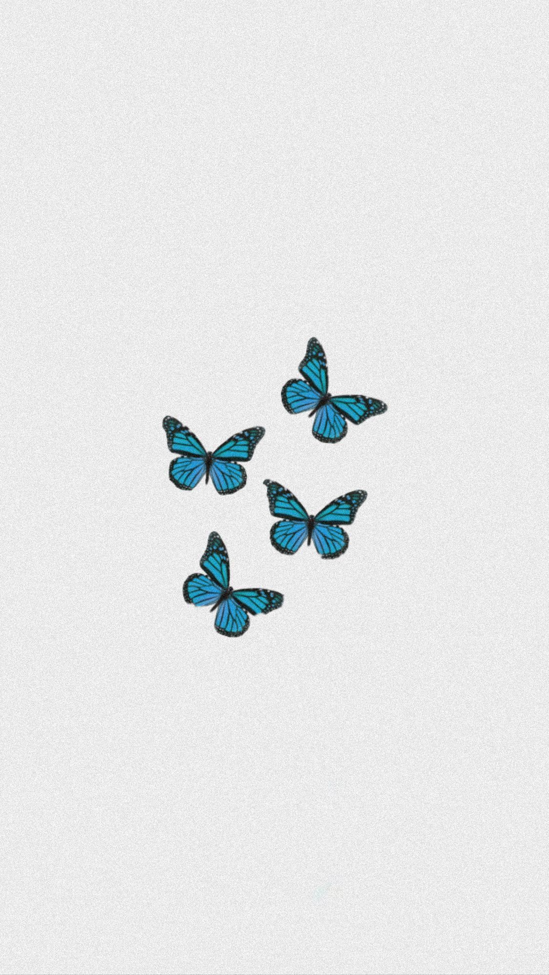 iphone wallpaper pattern #hintergrundbildiphone #tapete #butterfly