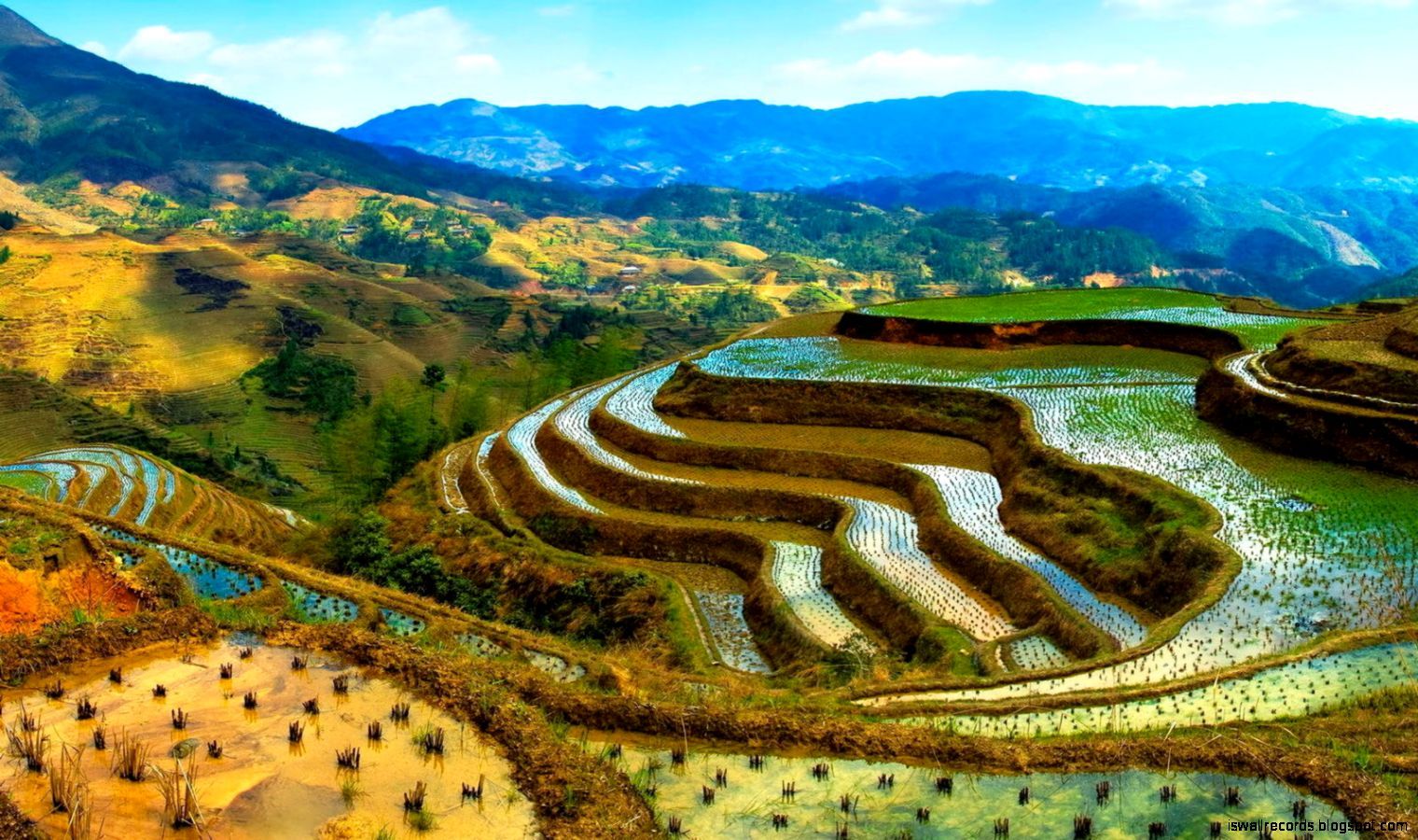 Full Size Nature Desktop Wallpaper HD Download