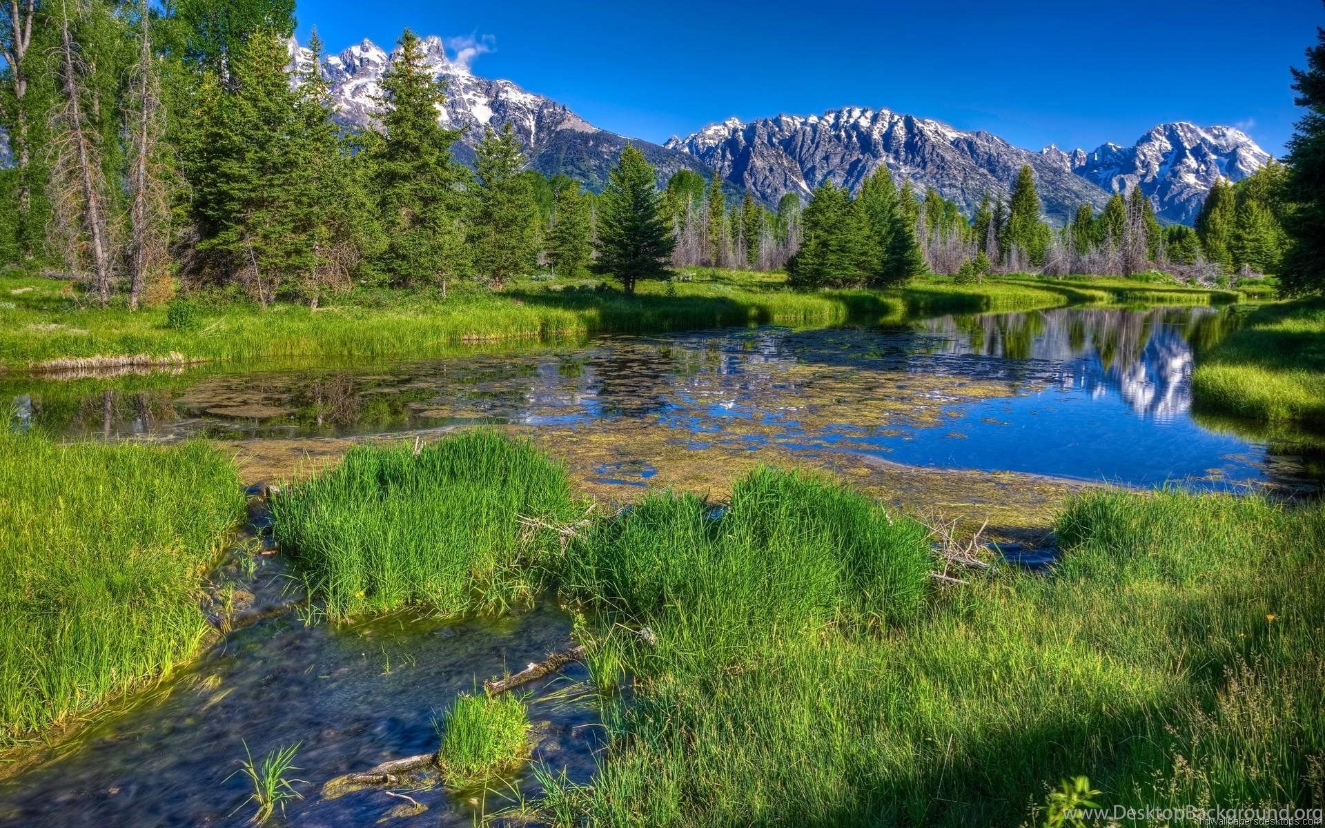 HD Nature Wallpaper For Computer HD Wallpaper Desktop Background