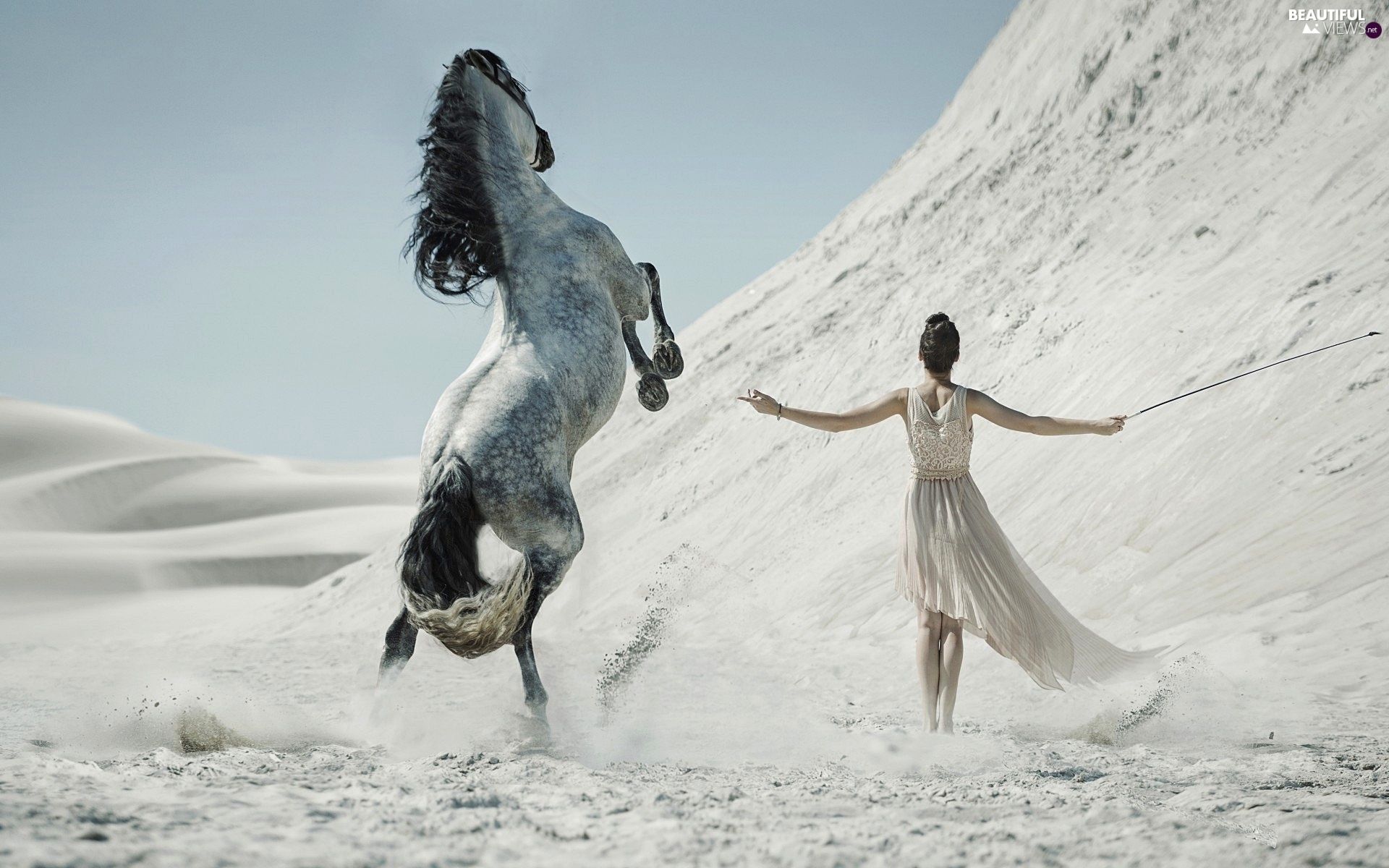Horse, Desert, Women. Horses, Animals beautiful, Horse inspiration