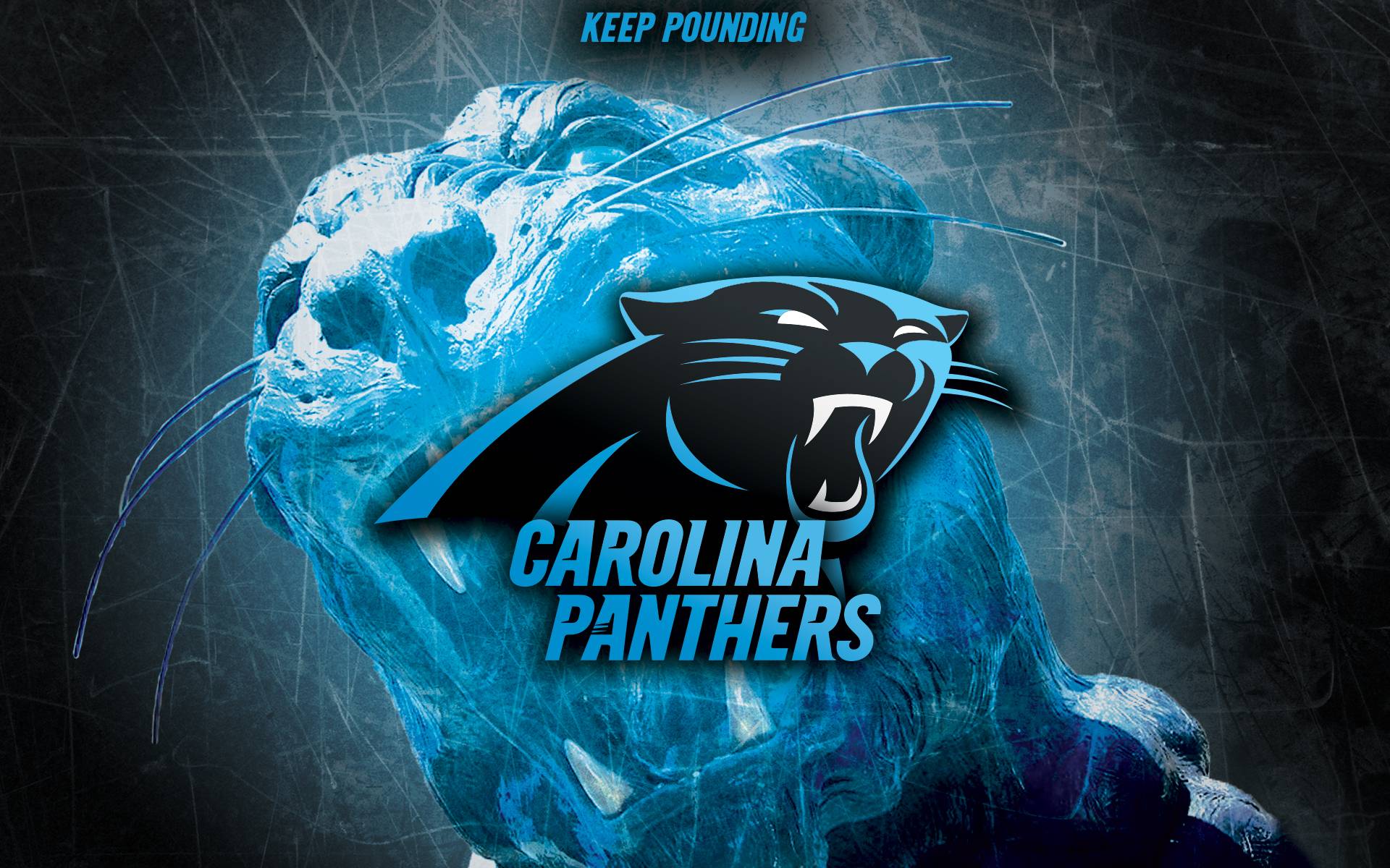 Carolina Panthers Wallpaper Free Carolina Panthers
