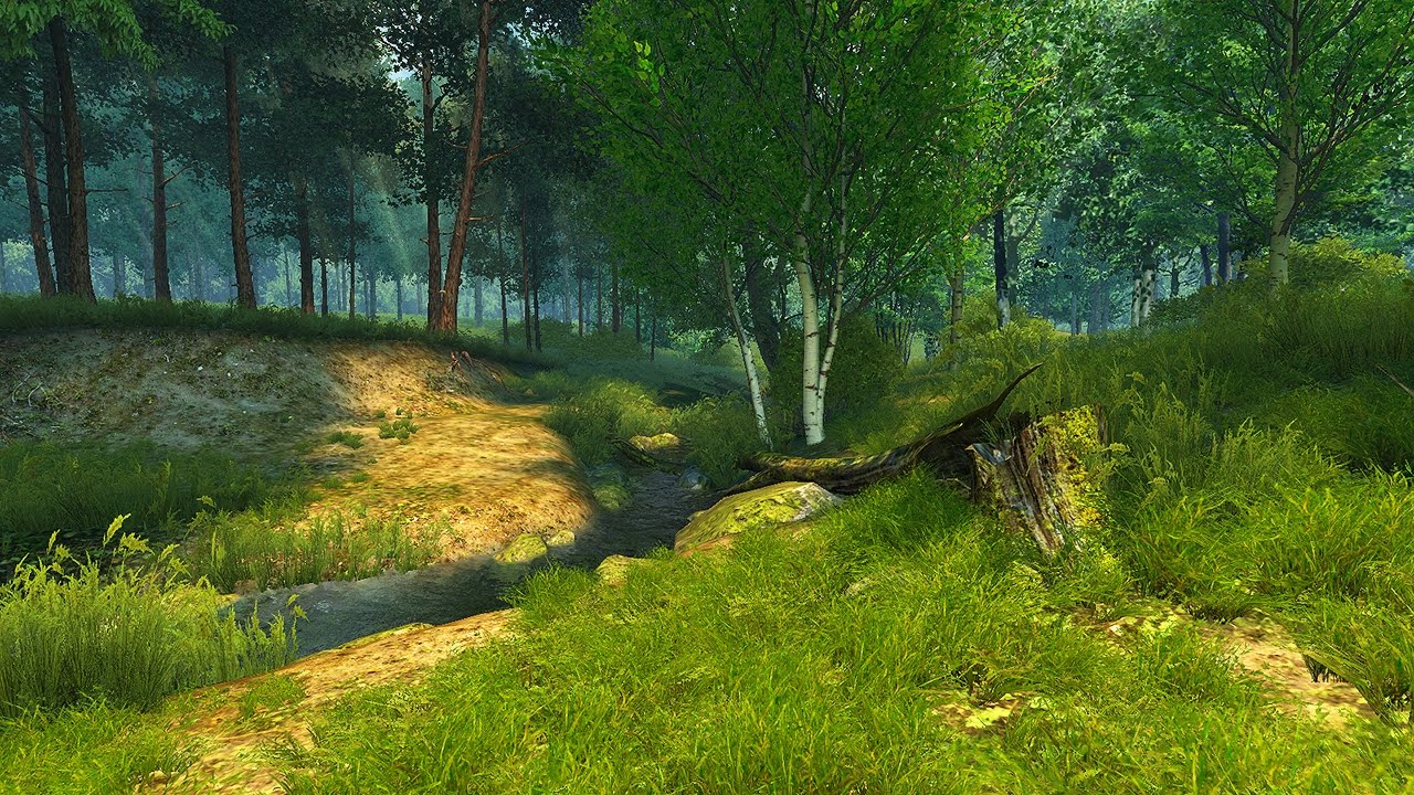 Summer Forest 3D Screensaver & Live Wallpaper HD