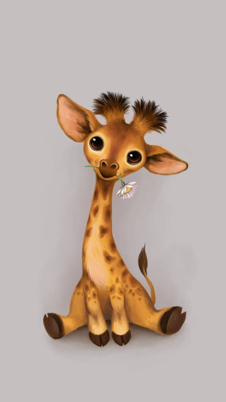 Cute Giraffe Wallpaper Free Cute Giraffe Background
