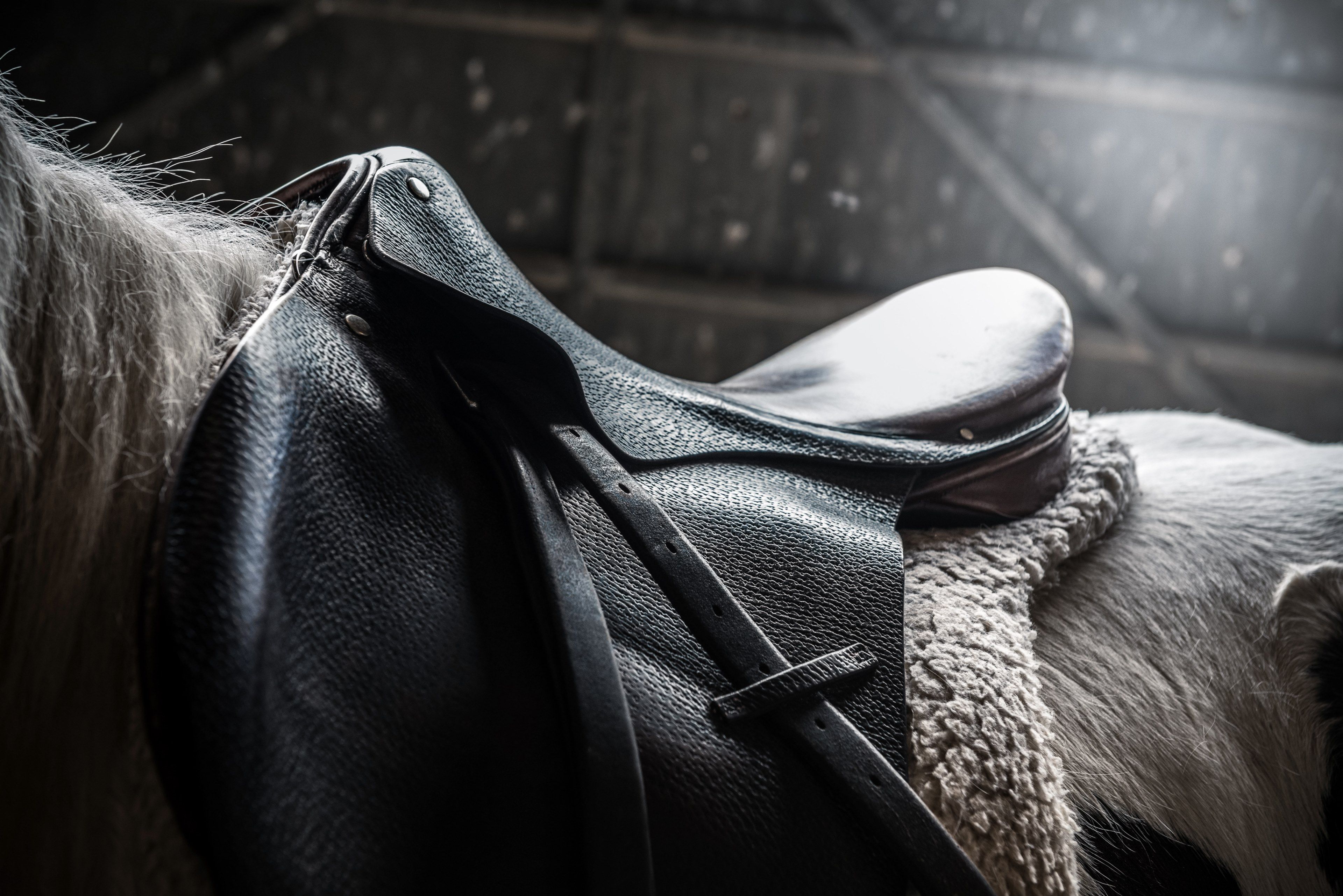 close up of a black leather saddle on a horse in a barnsaddle up