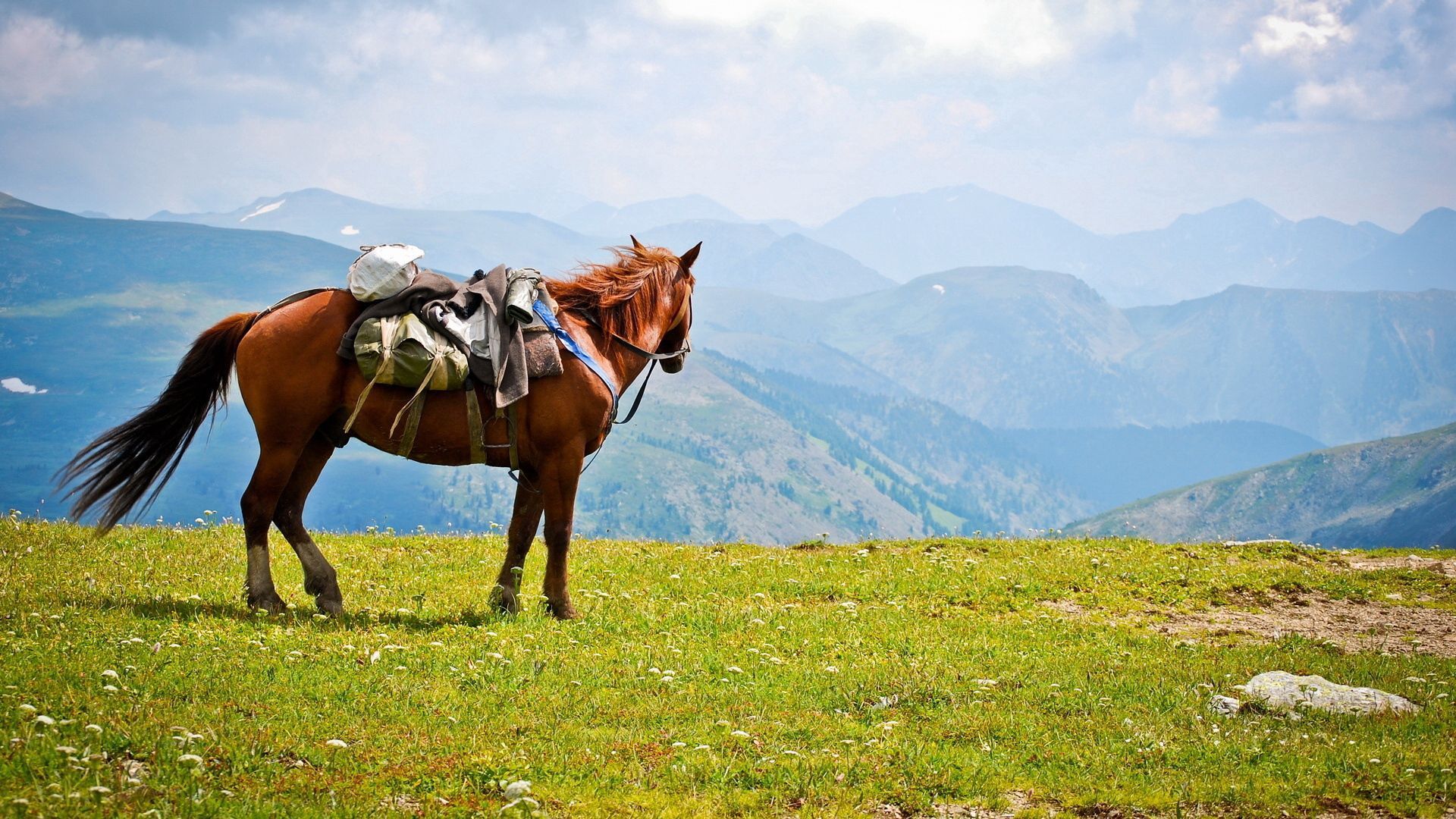 Download wallpaper 1920x1080 horse, saddle, mountains HD background
