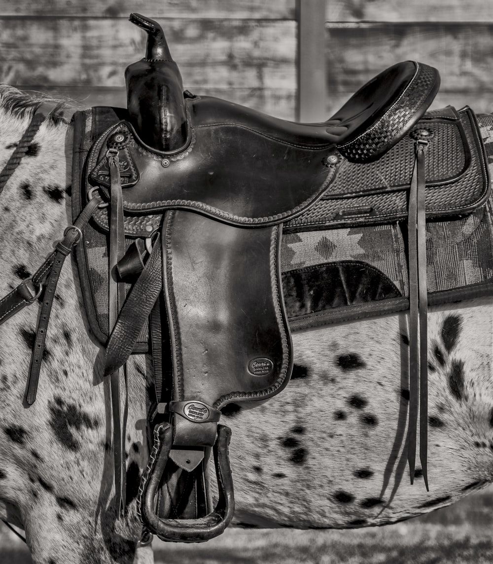 Horse Saddle Picture. Download Free Image