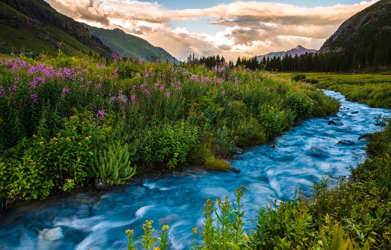 Wallpaper summer, landscape, sunset, flowers, mountains, river