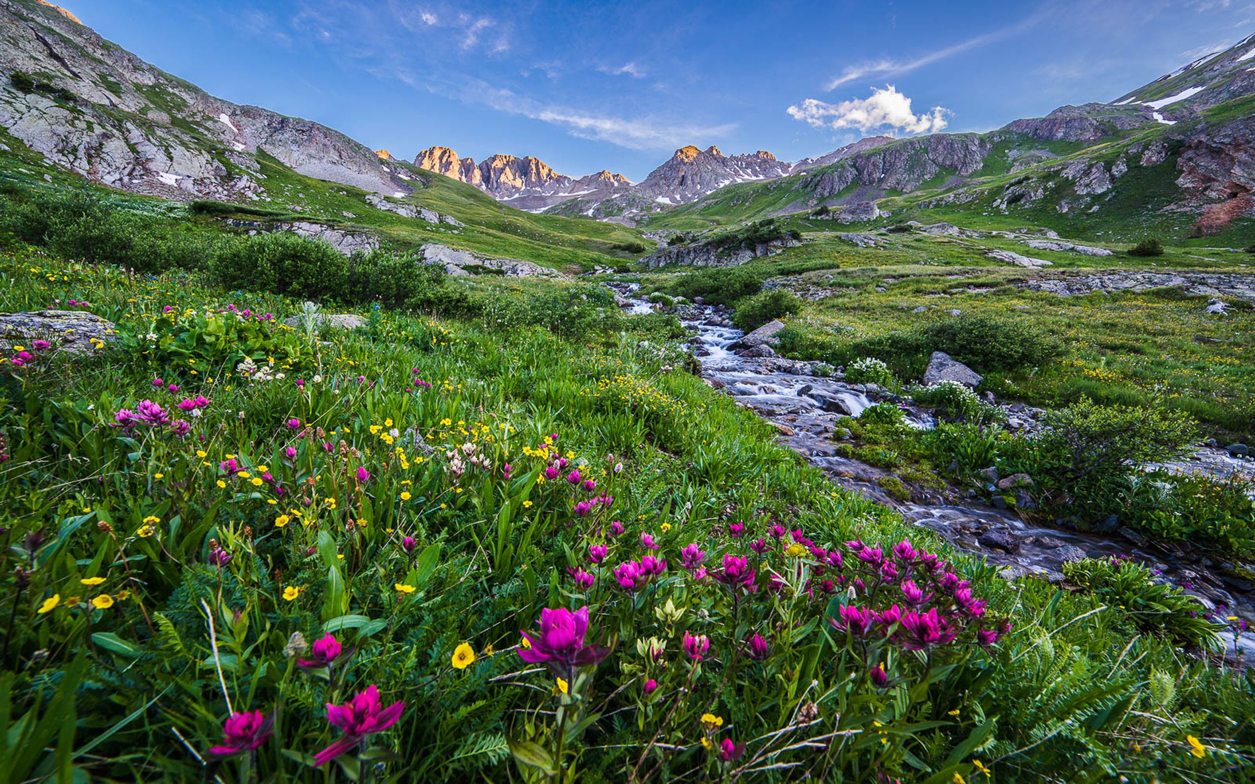 Landscape Beautiful Scenery Rocky Peaks Stream Meadow With Colorful Mountain Flowers Blue Sky Spring In Colorado HD Wallpaper For Mobile Phones Tablet And Pc 2560x1600, Wallpaper13.com