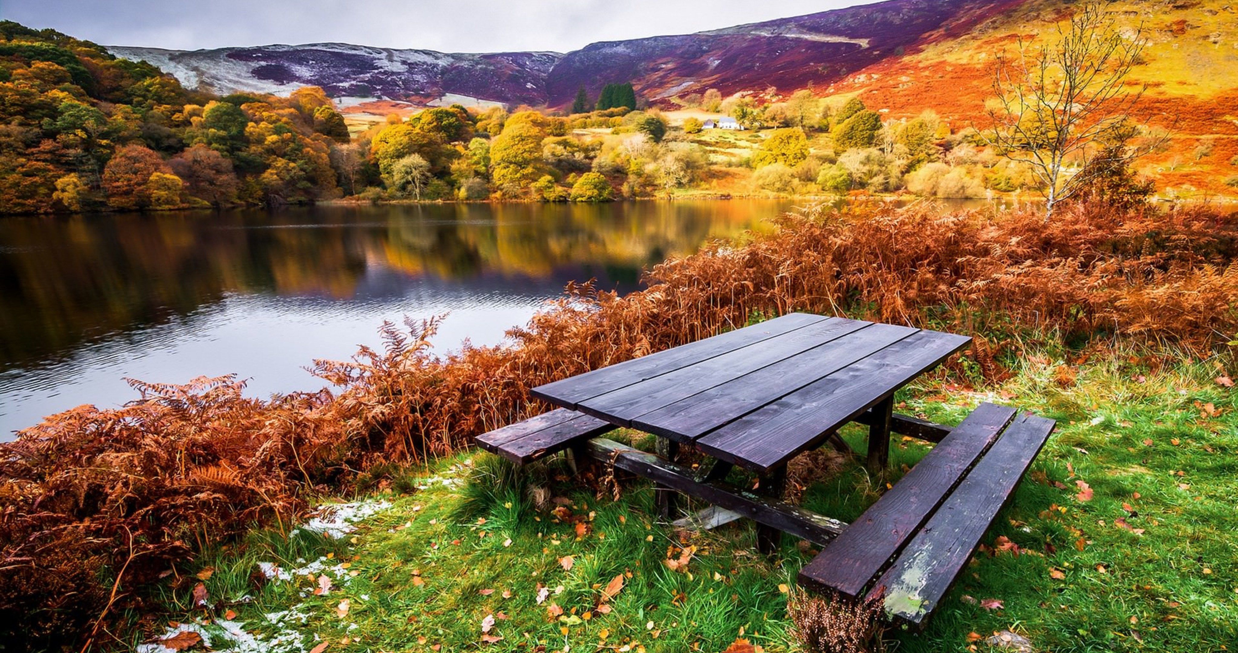 table in nature 4k ultra HD wallpaper. Picnic bench