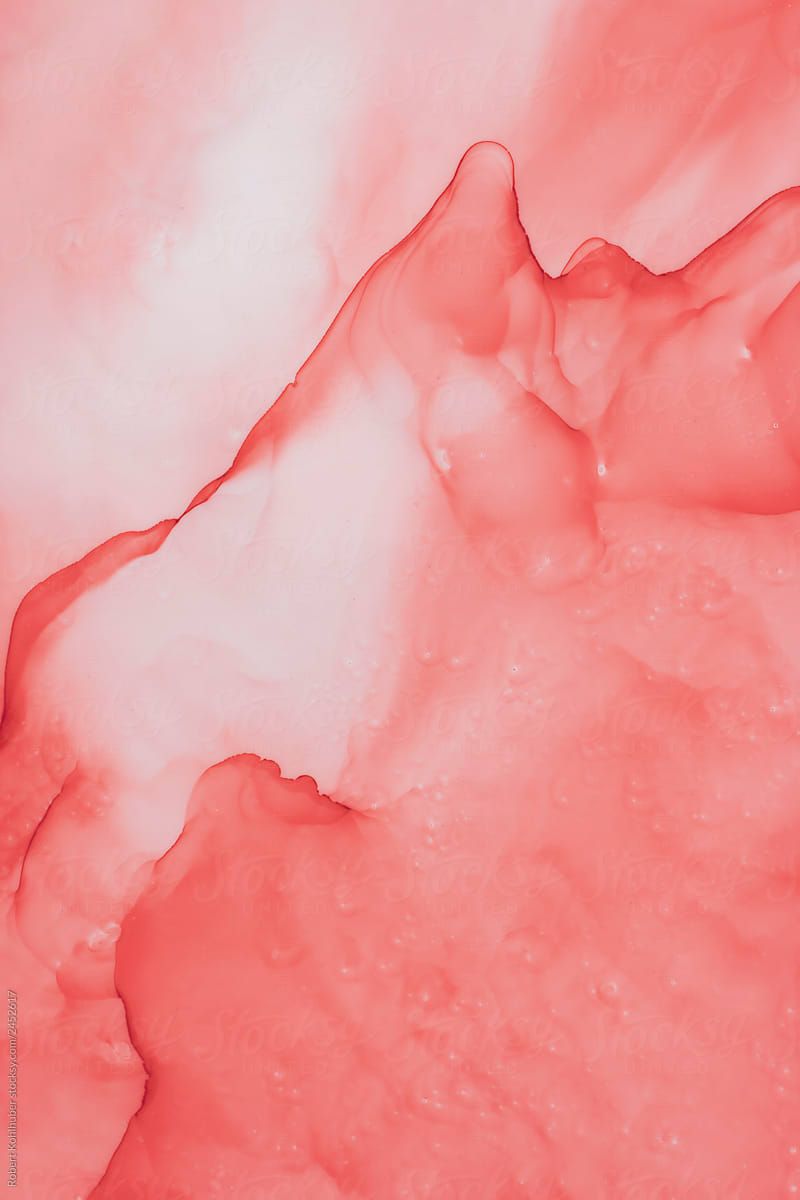 Abstract Coral Color Fluid Background. Stocksy United. Coral background, Coral colour palette, Coral wallpaper