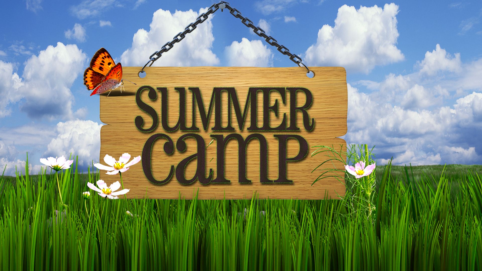 Summer Camping Wallpaper